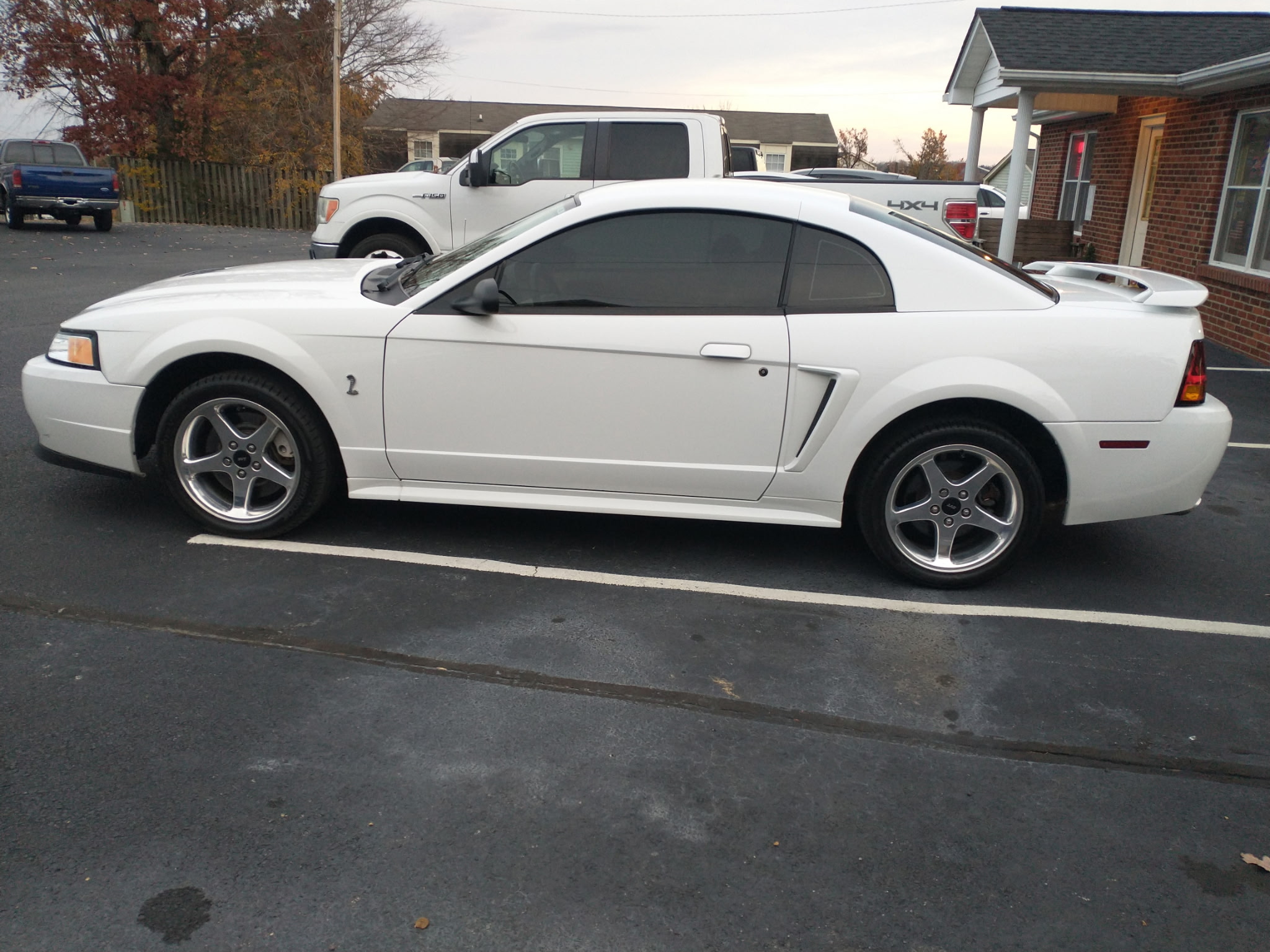 Used 2001 Ford Mustang Cobra