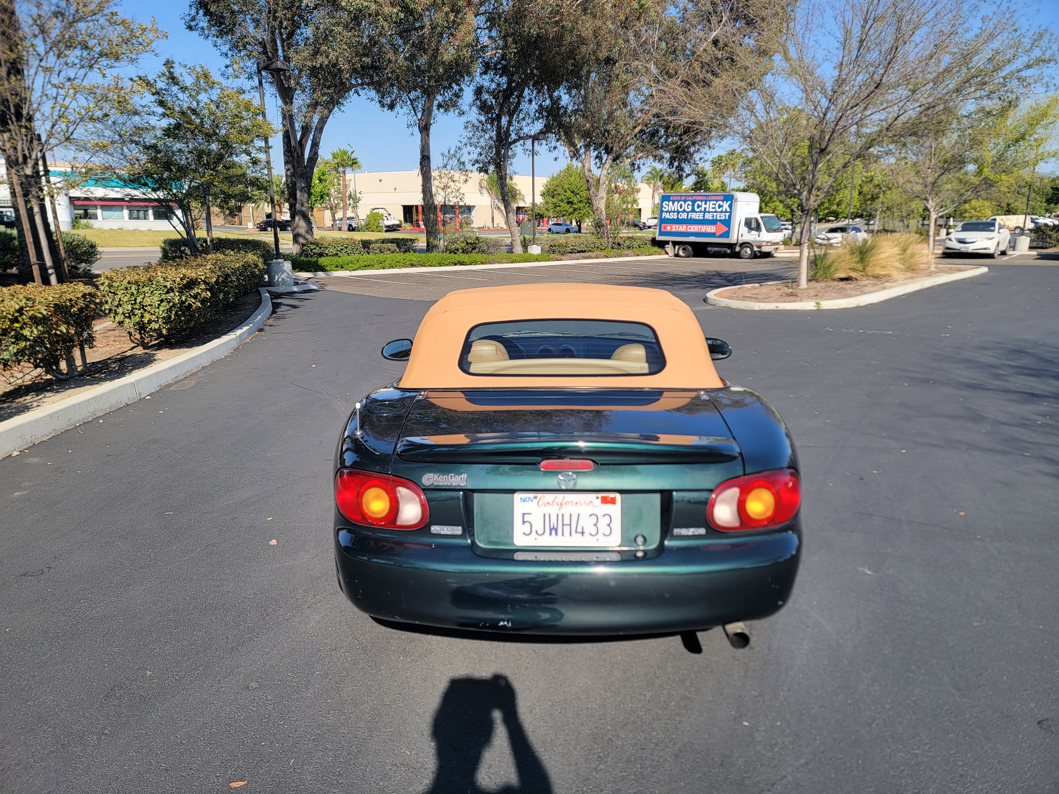 Photo 8