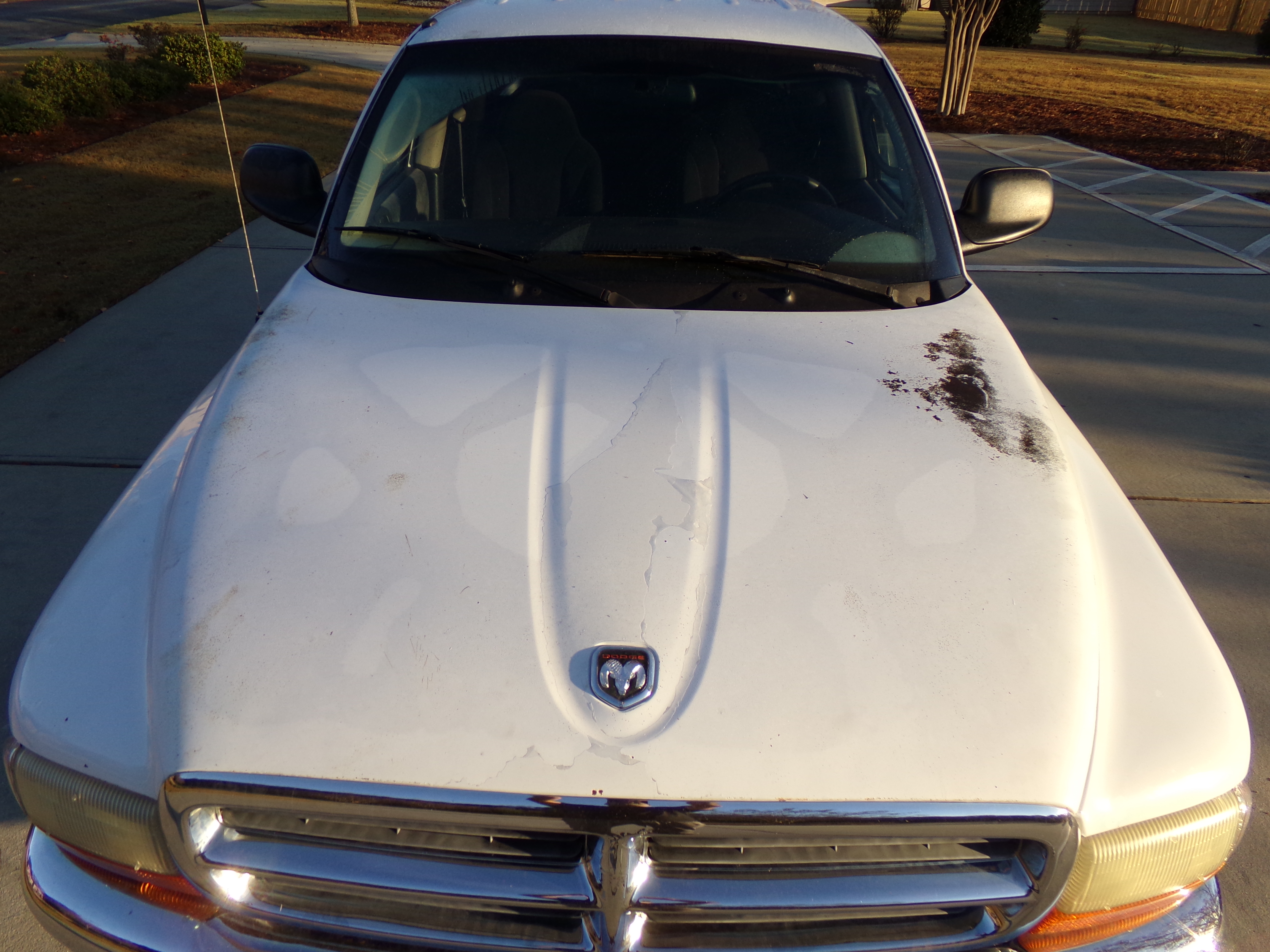 2001 Dodge Dakota SLT