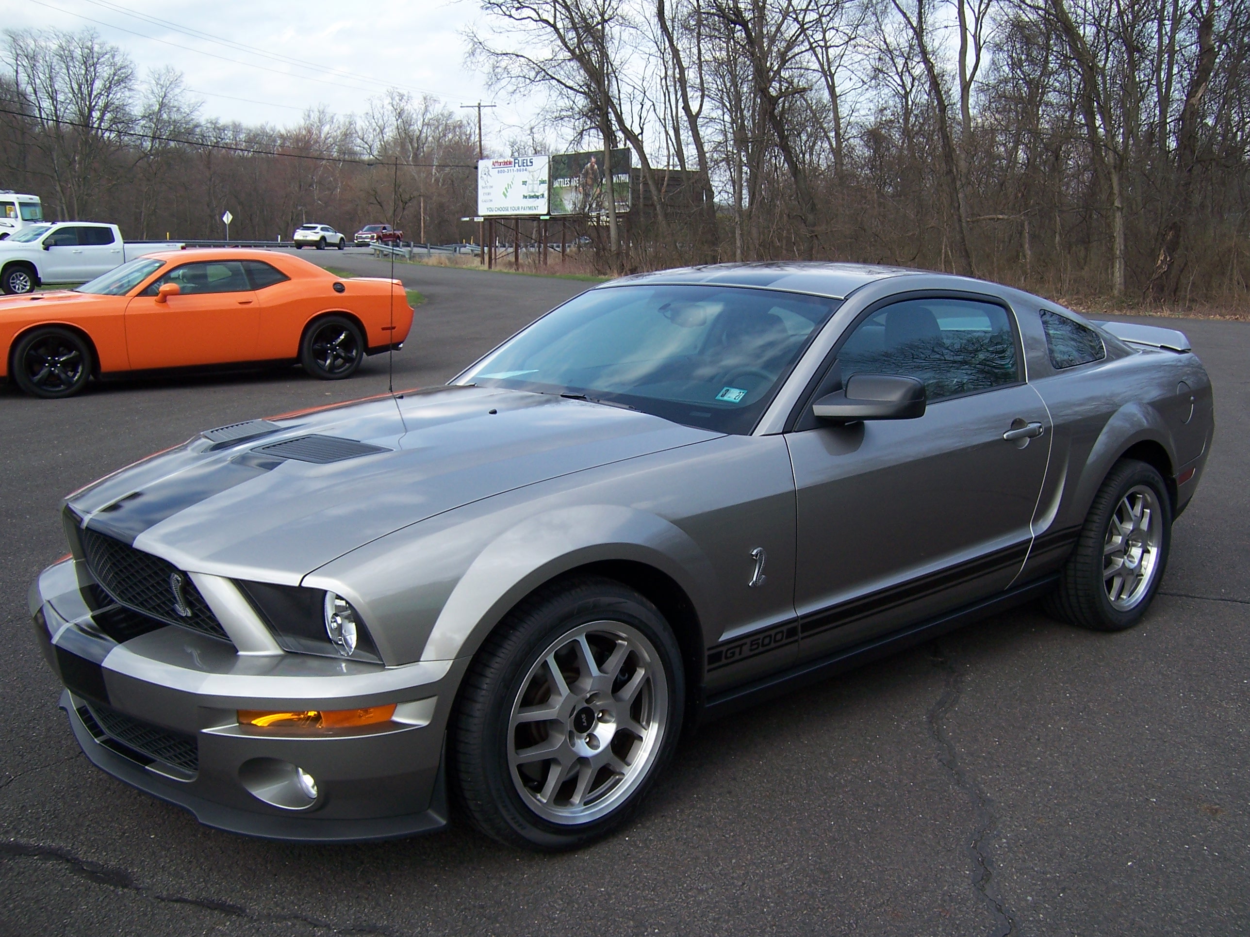 Used 2008 Ford Mustang Shelby GT500