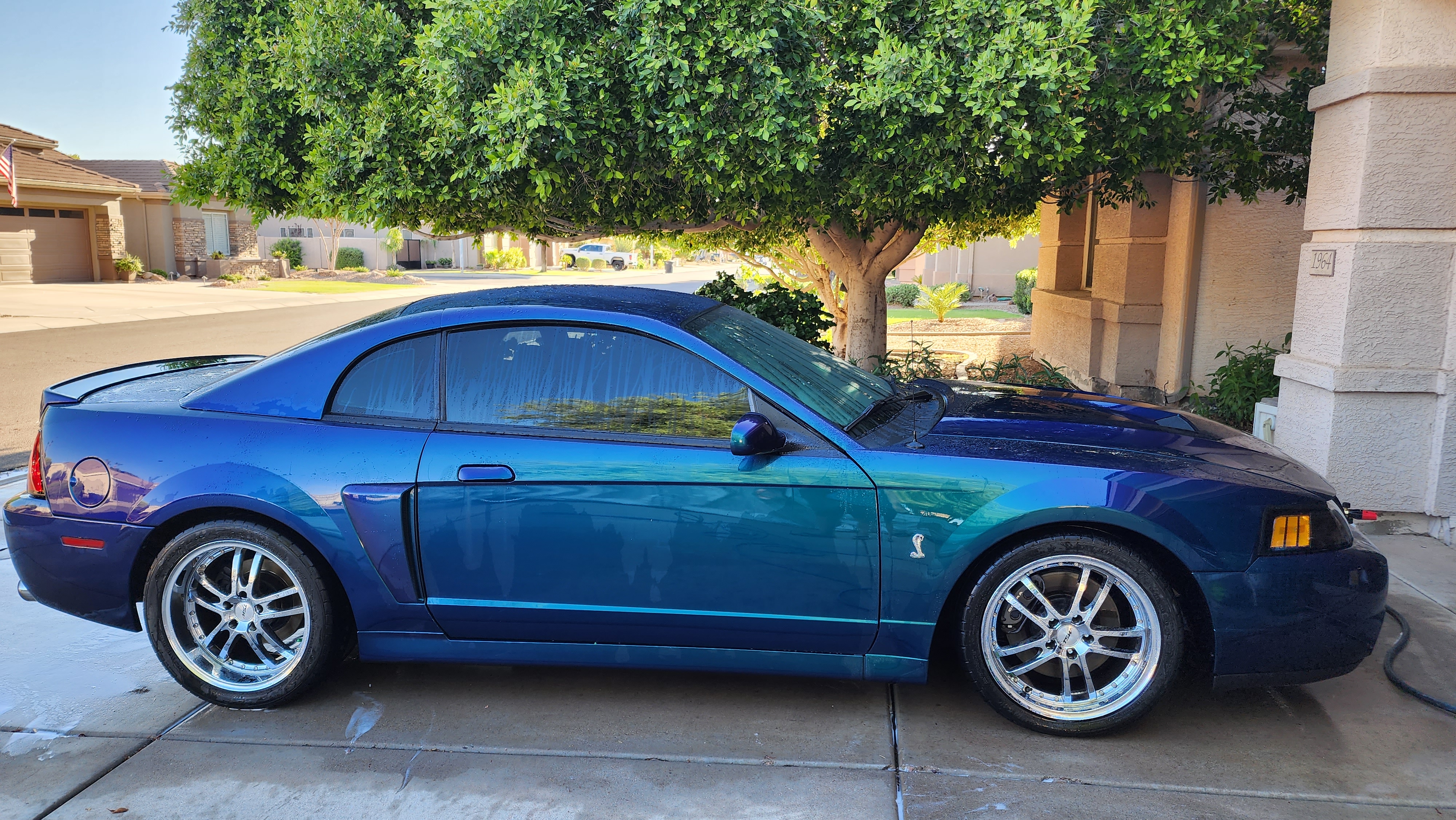 2004 Ford Mustang Cobra