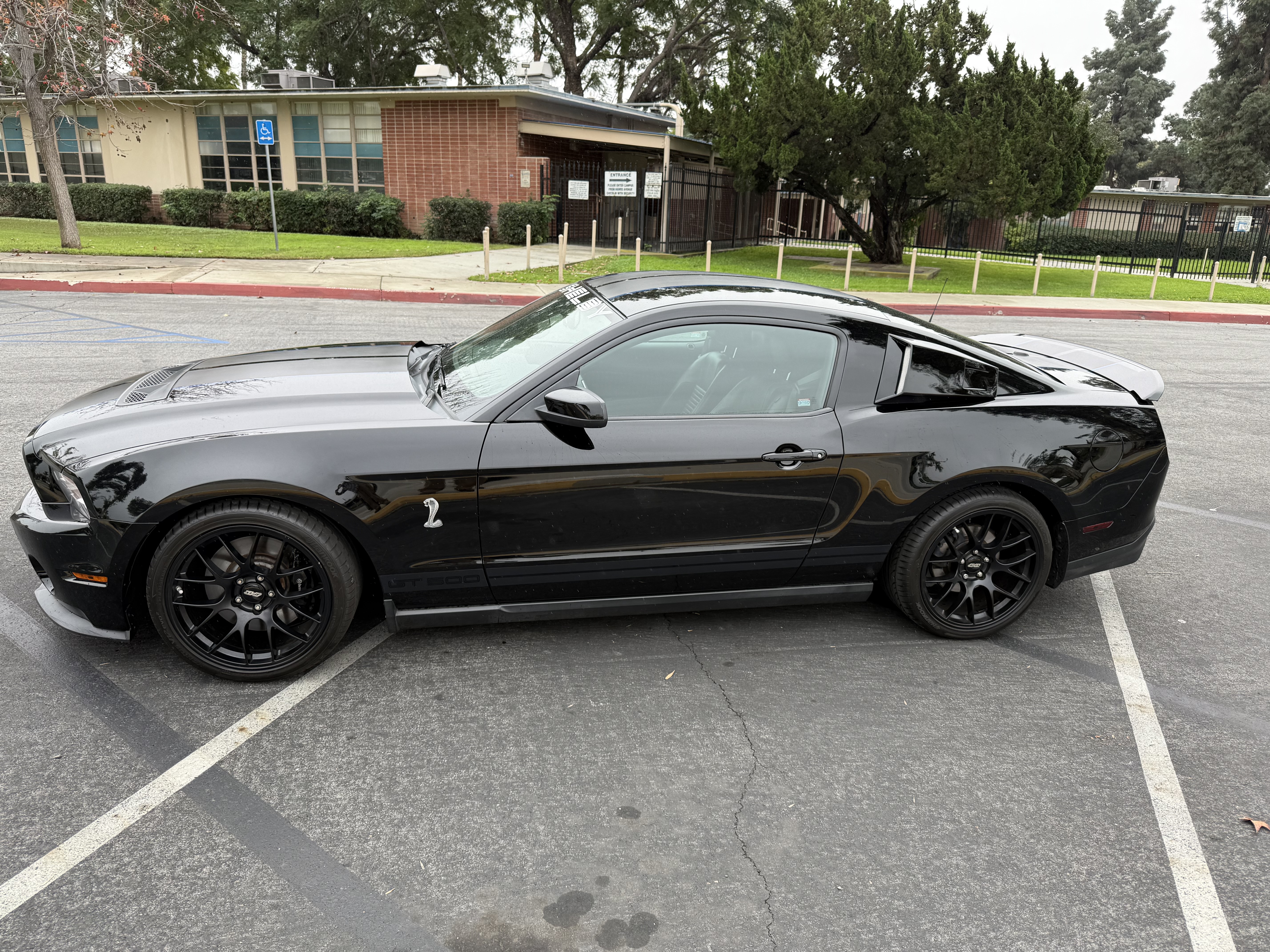Used 2010 Ford Mustang Shelby GT500