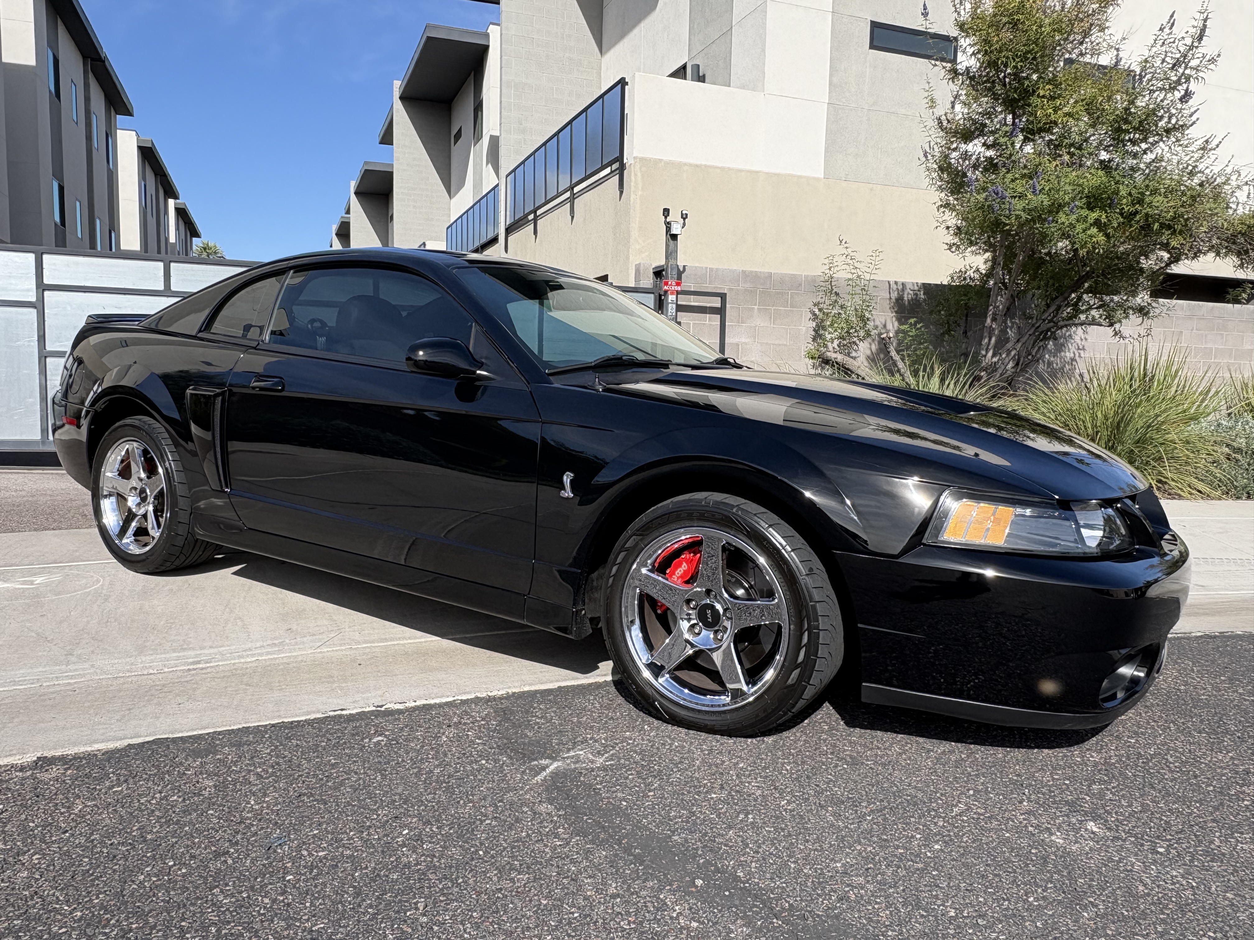 Used 2004 Ford Mustang Cobra