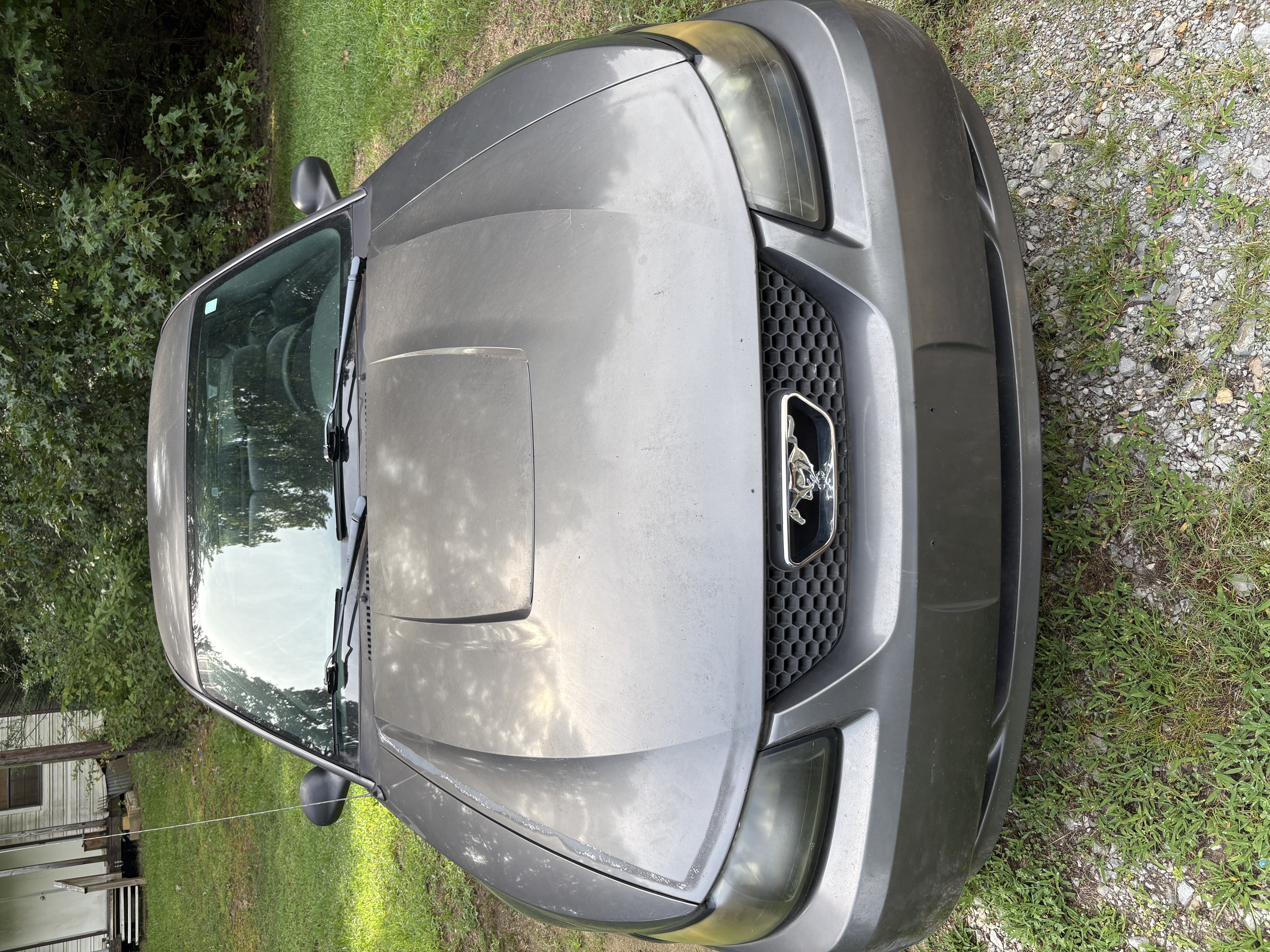 Used 2004 Ford Mustang Coupe