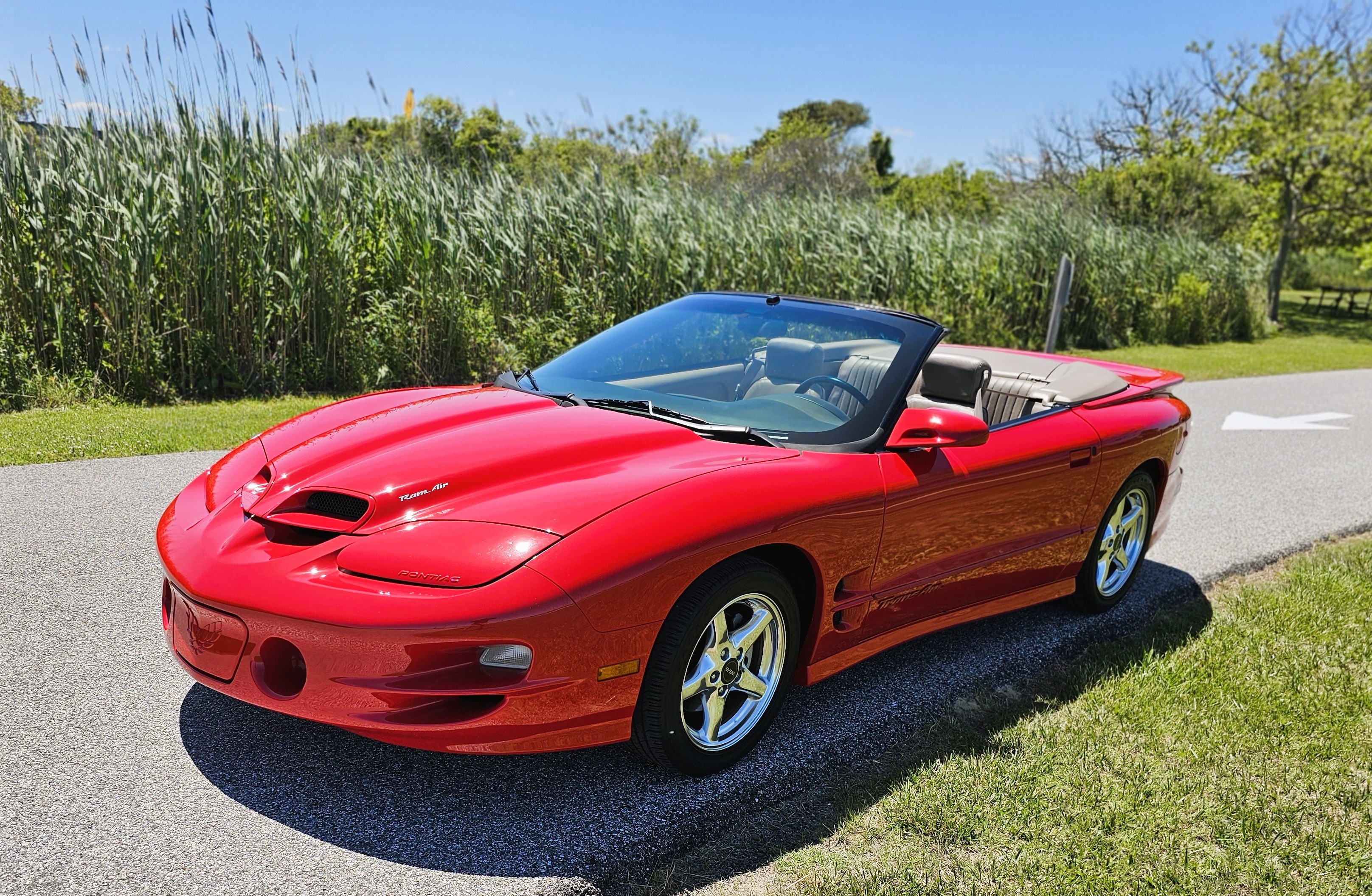 Used 2000 Pontiac Firebird Trans Am