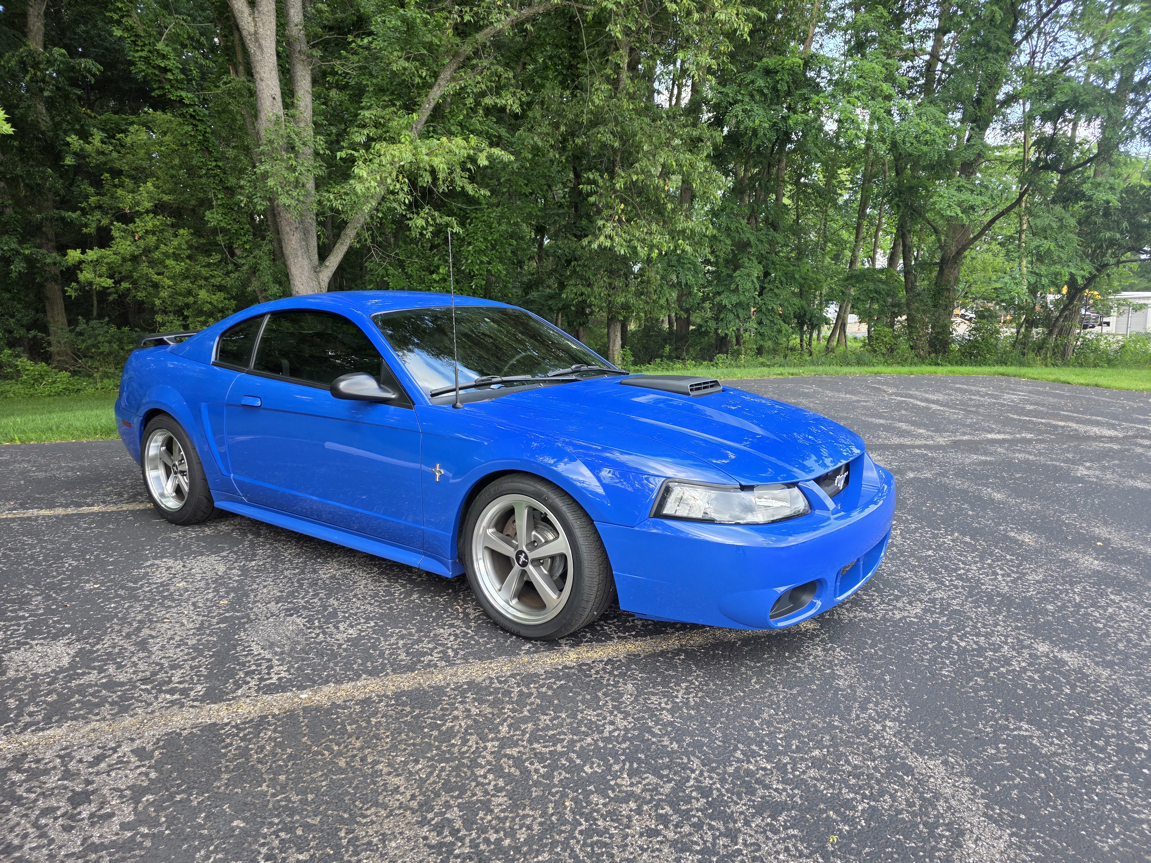 Used Ford Mustang Mach 1 for Sale in Wadsworth, OH - Autotrader