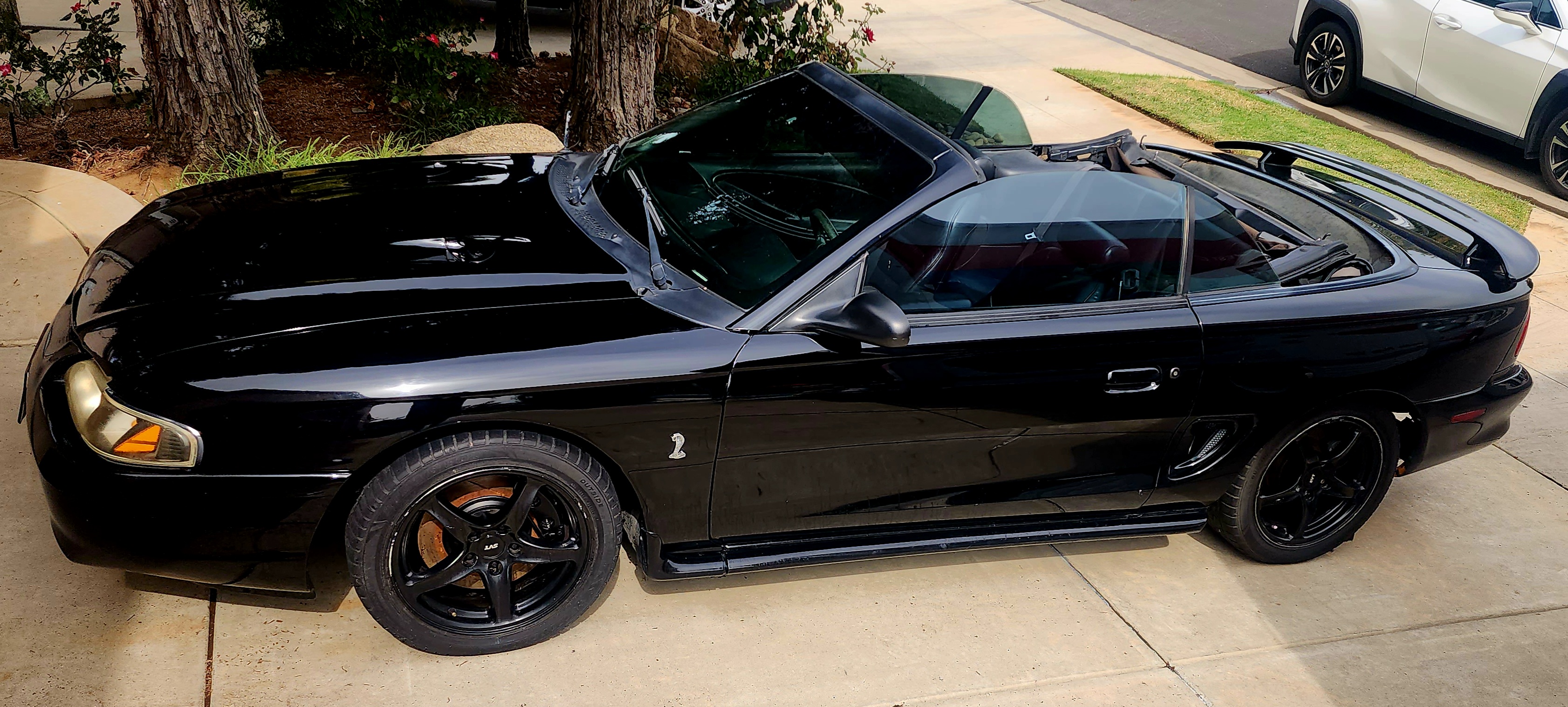 Used 1998 Ford Mustang Cobra