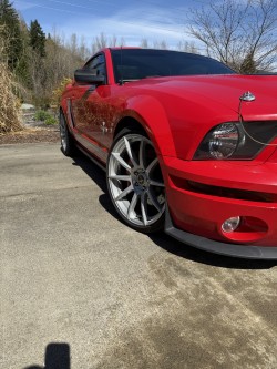 2007 Ford Mustang Shelby GT500