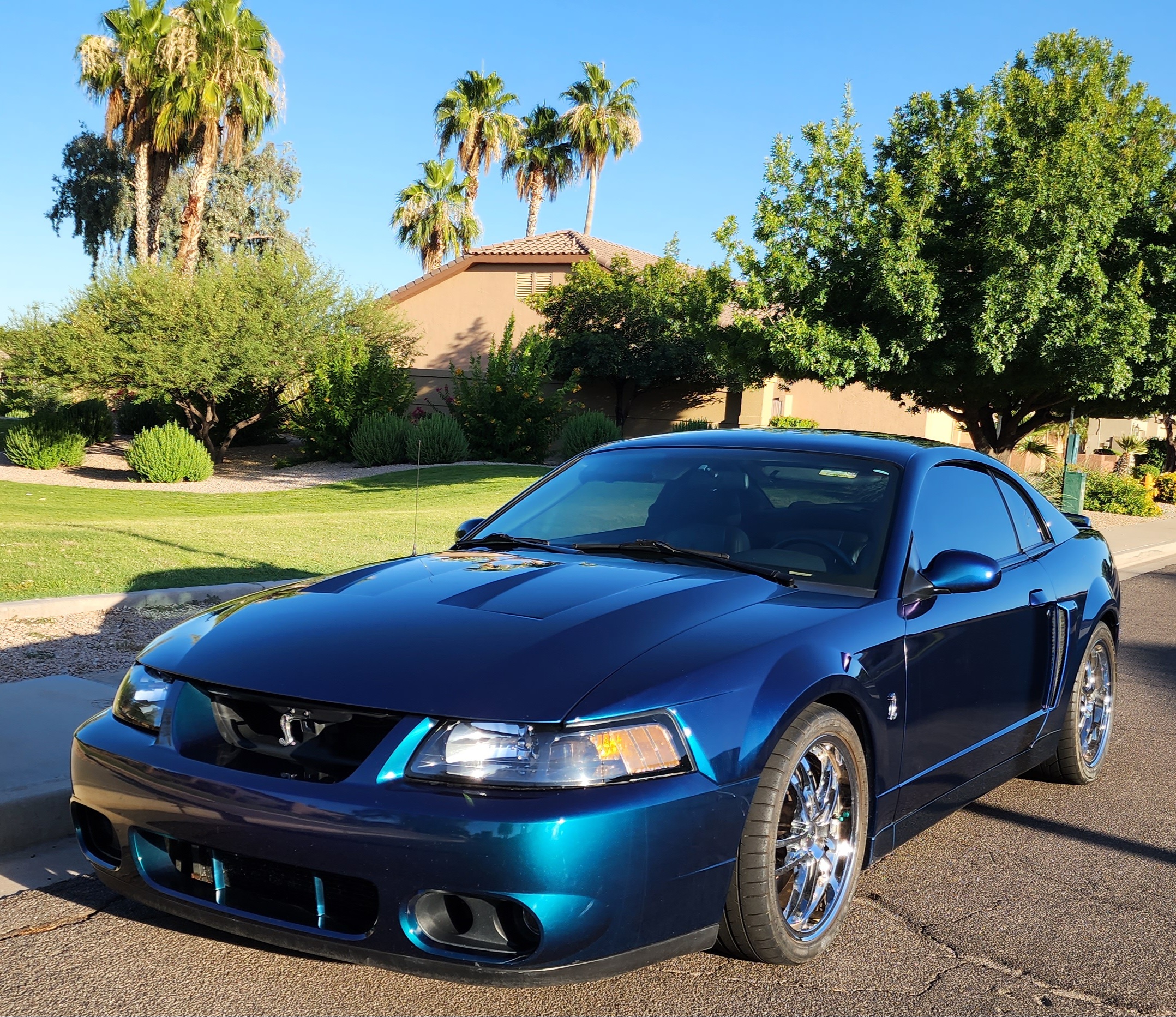 2004 Ford Mustang Cobra