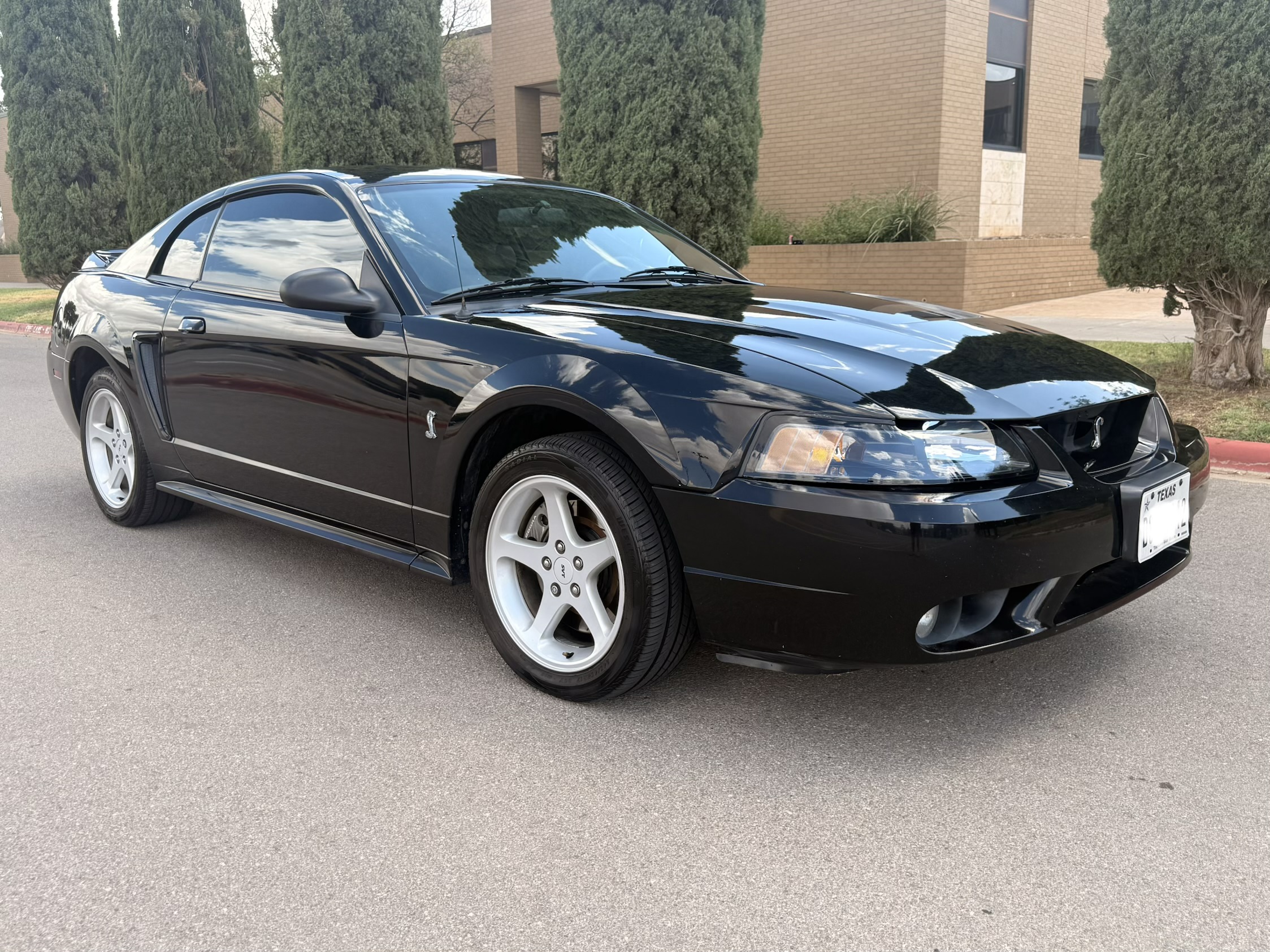 Used 1999 Ford Mustang Cobra