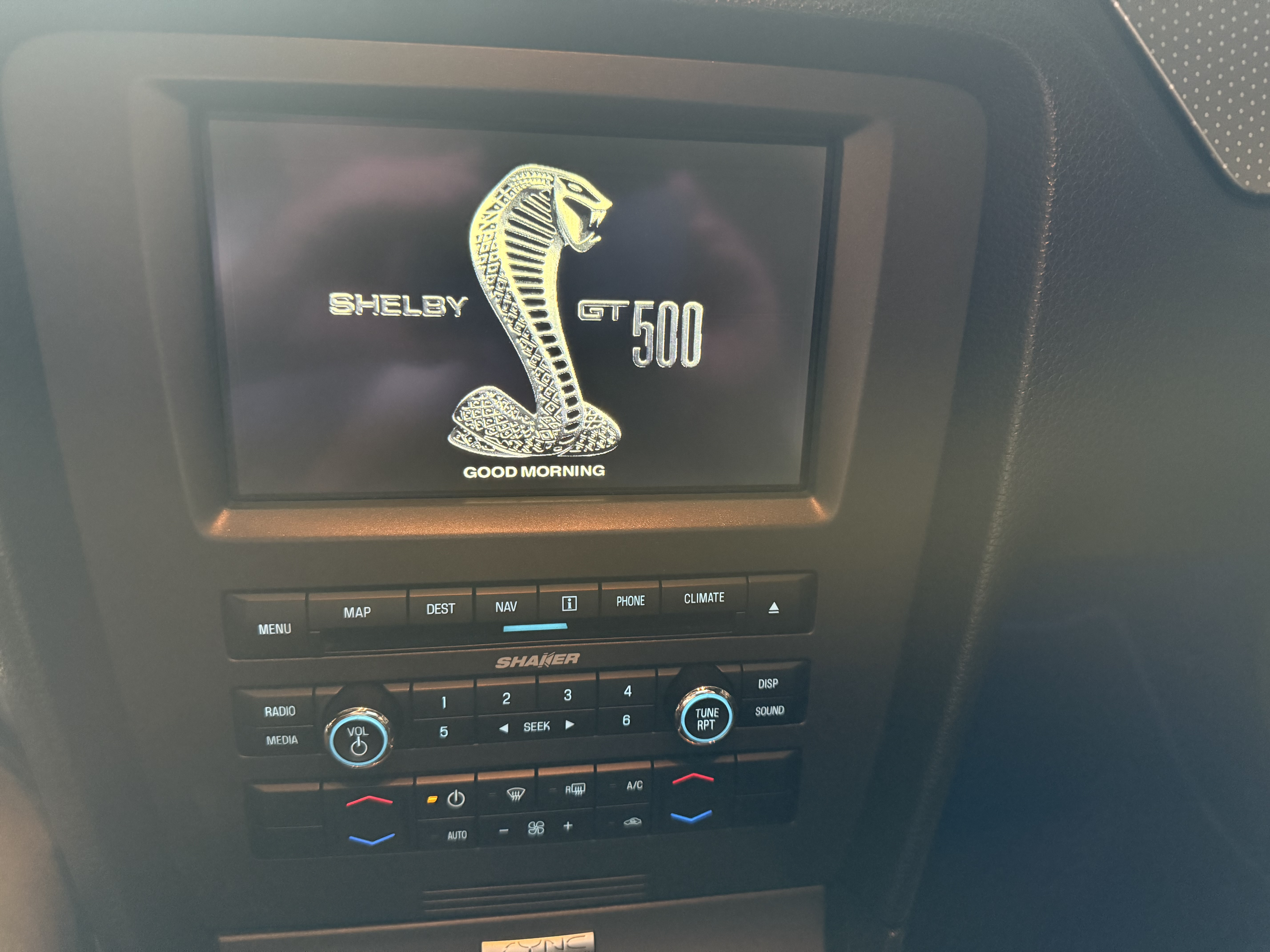 2010 Ford Mustang Shelby GT500