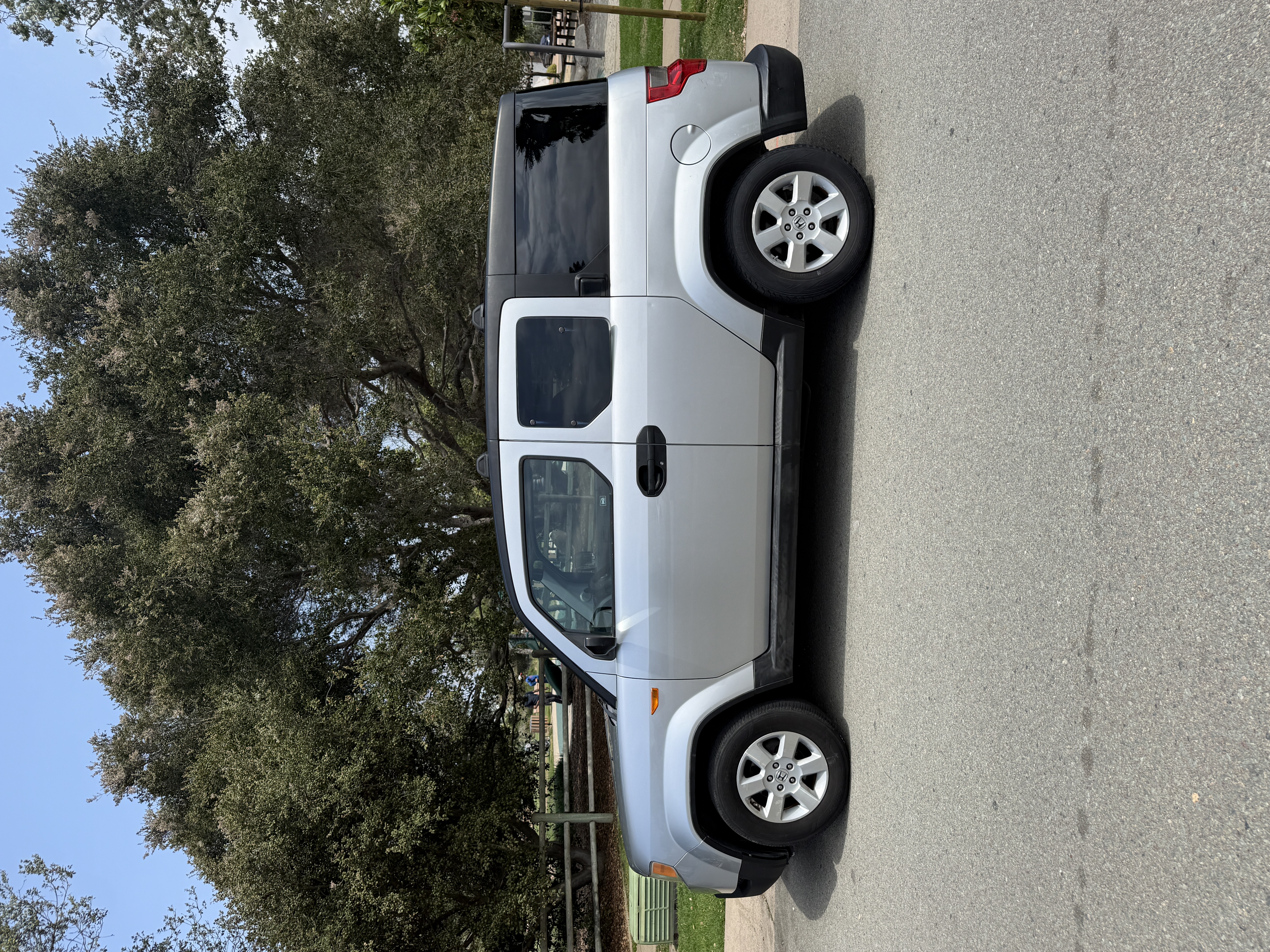 Photo 5