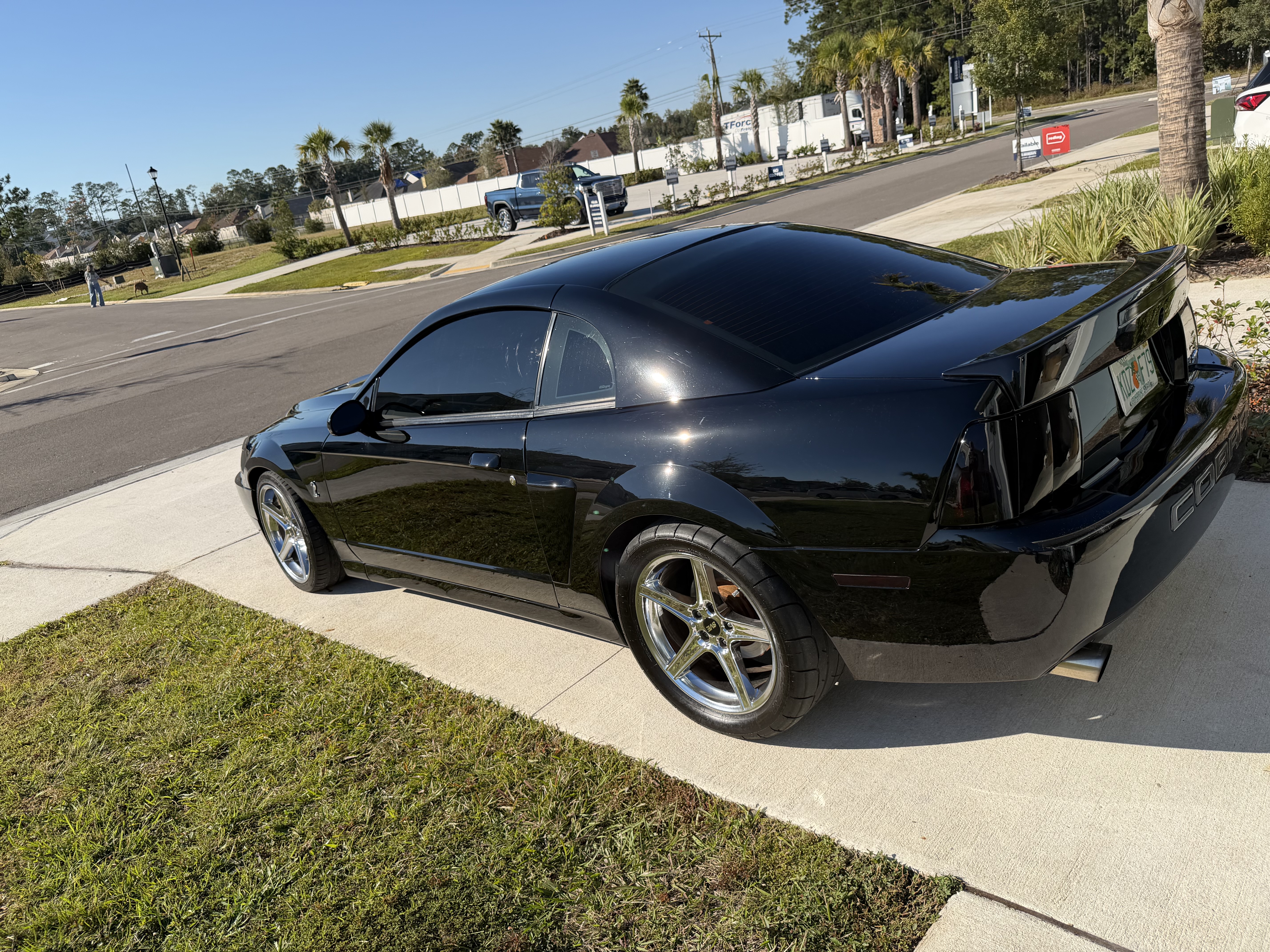 Used 2004 Ford Mustang Cobra