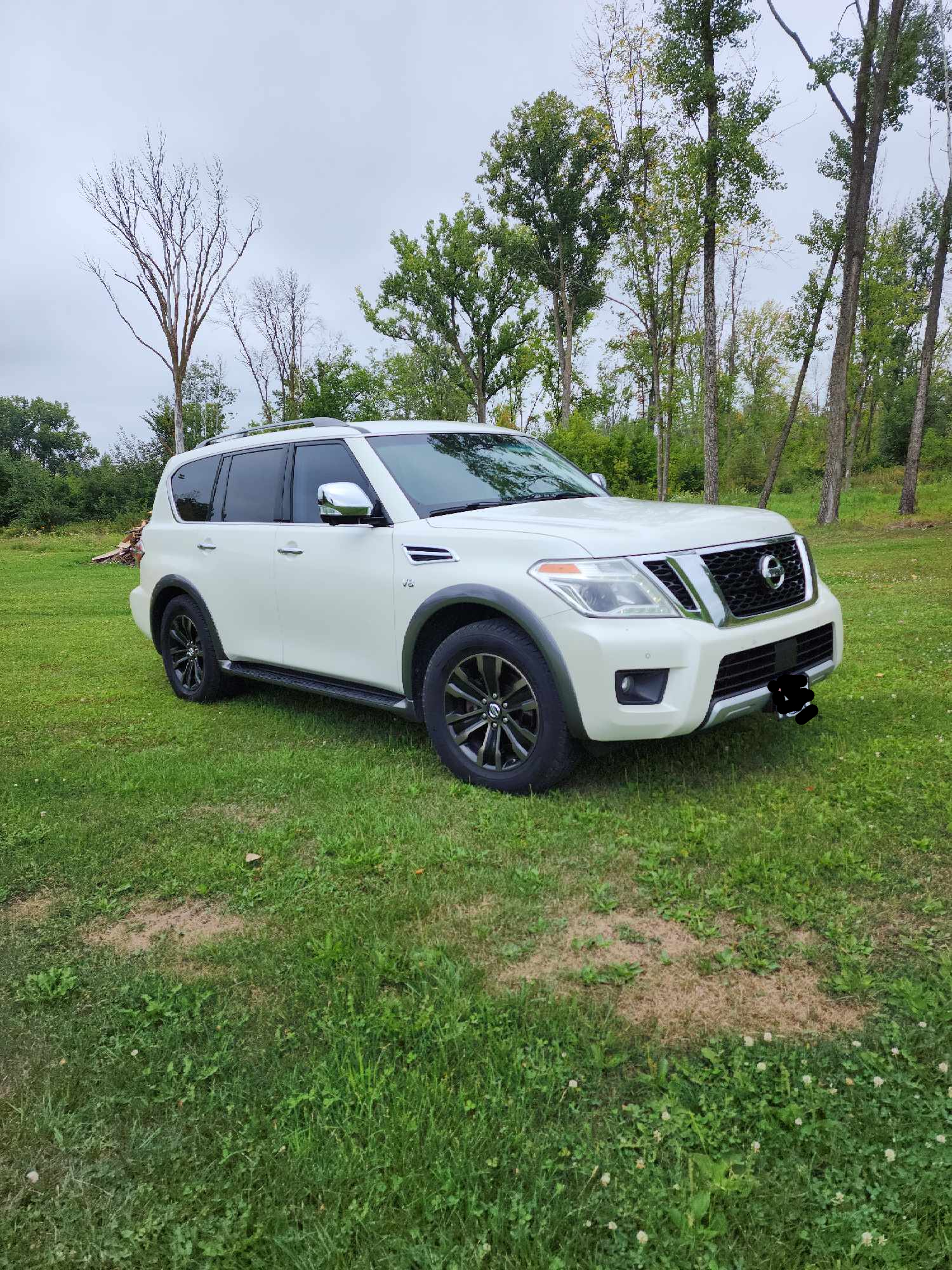 Used 2017 Nissan Armada for Sale Autotrader