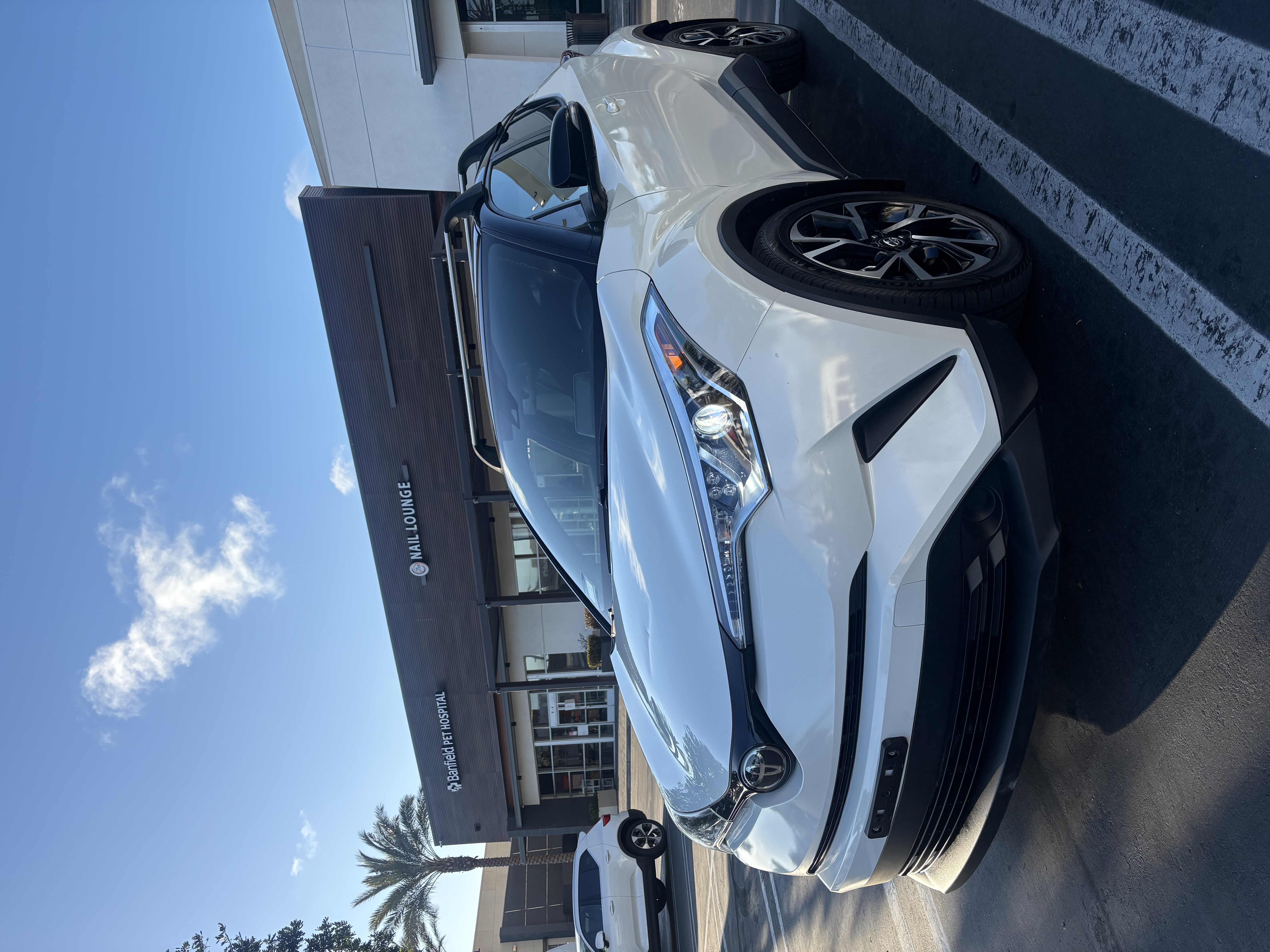Used 2019 Toyota C-HR for Sale - Kelley Blue Book