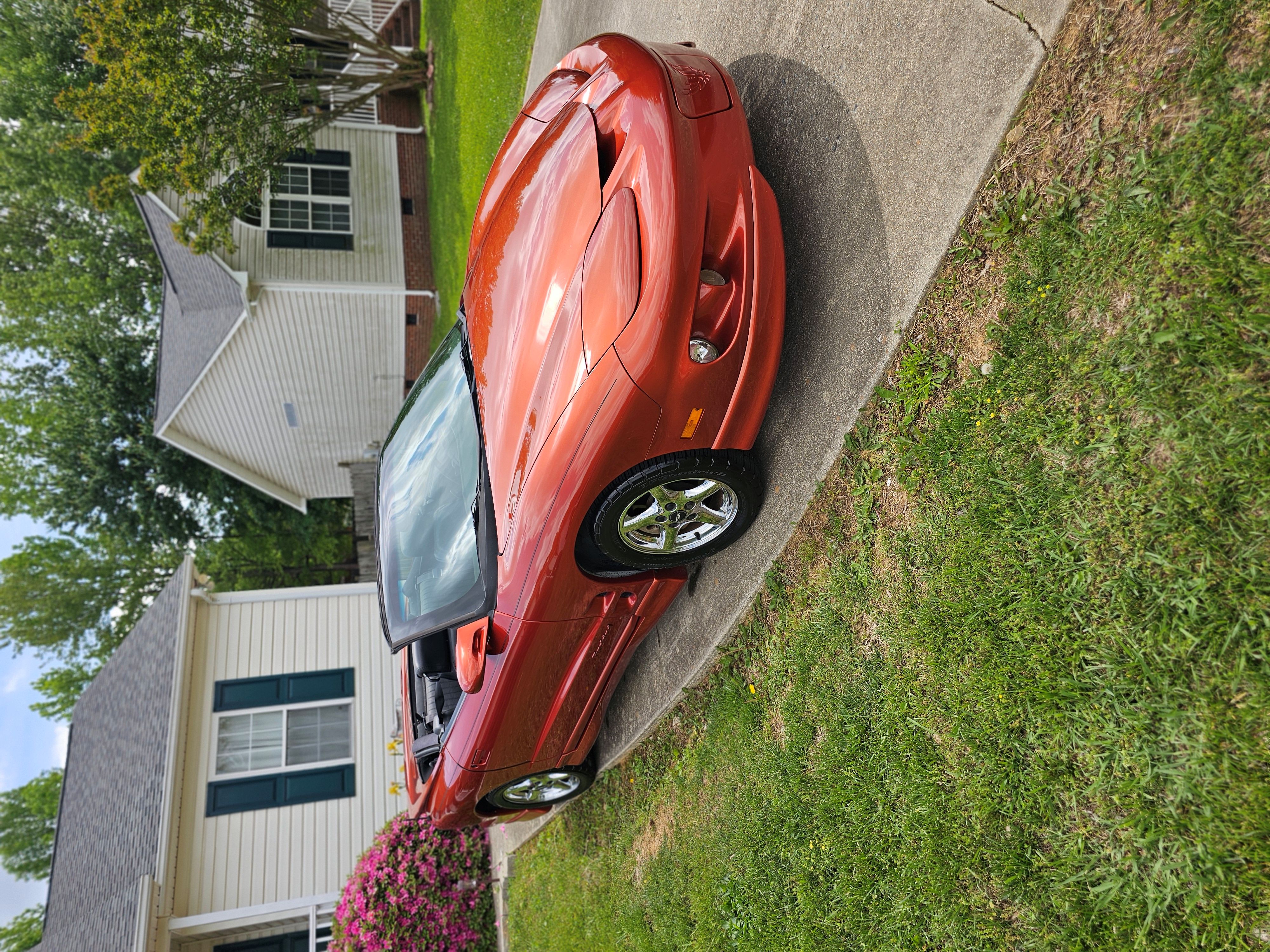 Photo 4