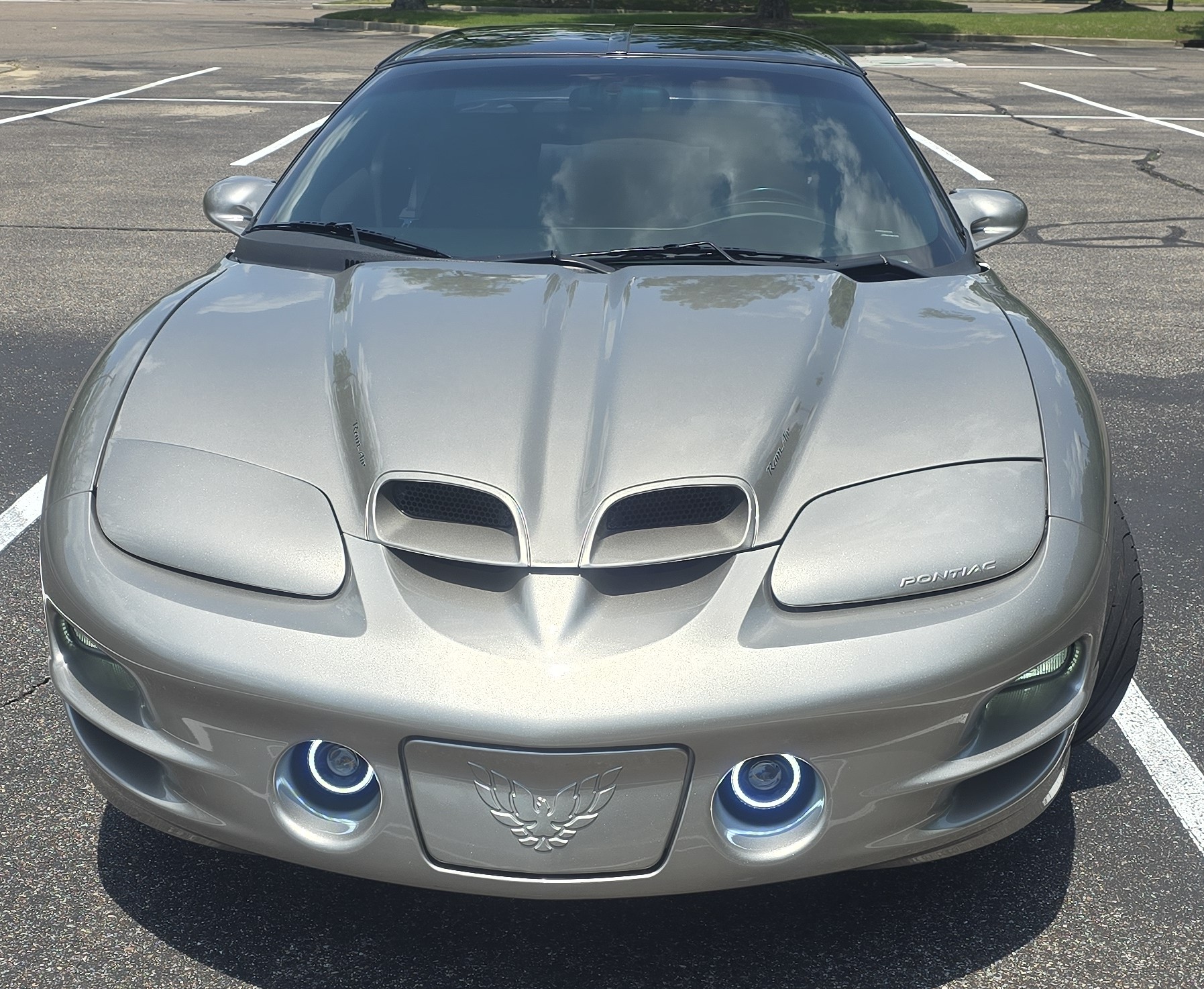 Used 2002 Pontiac Firebird Trans Am