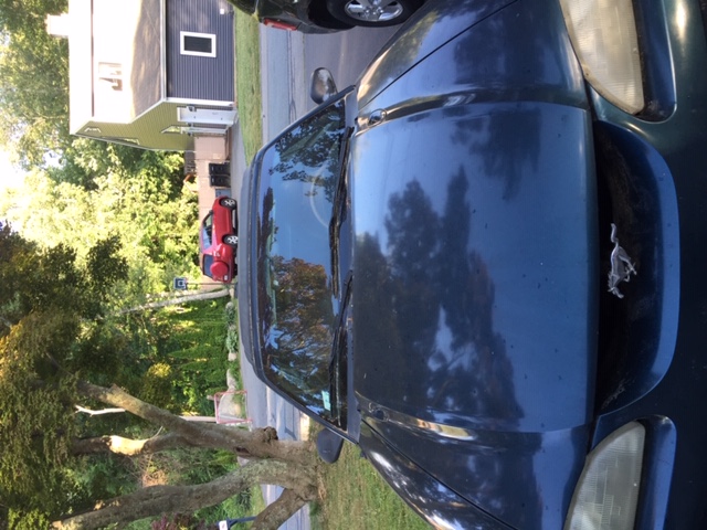 Used 1995 Ford Mustang GT