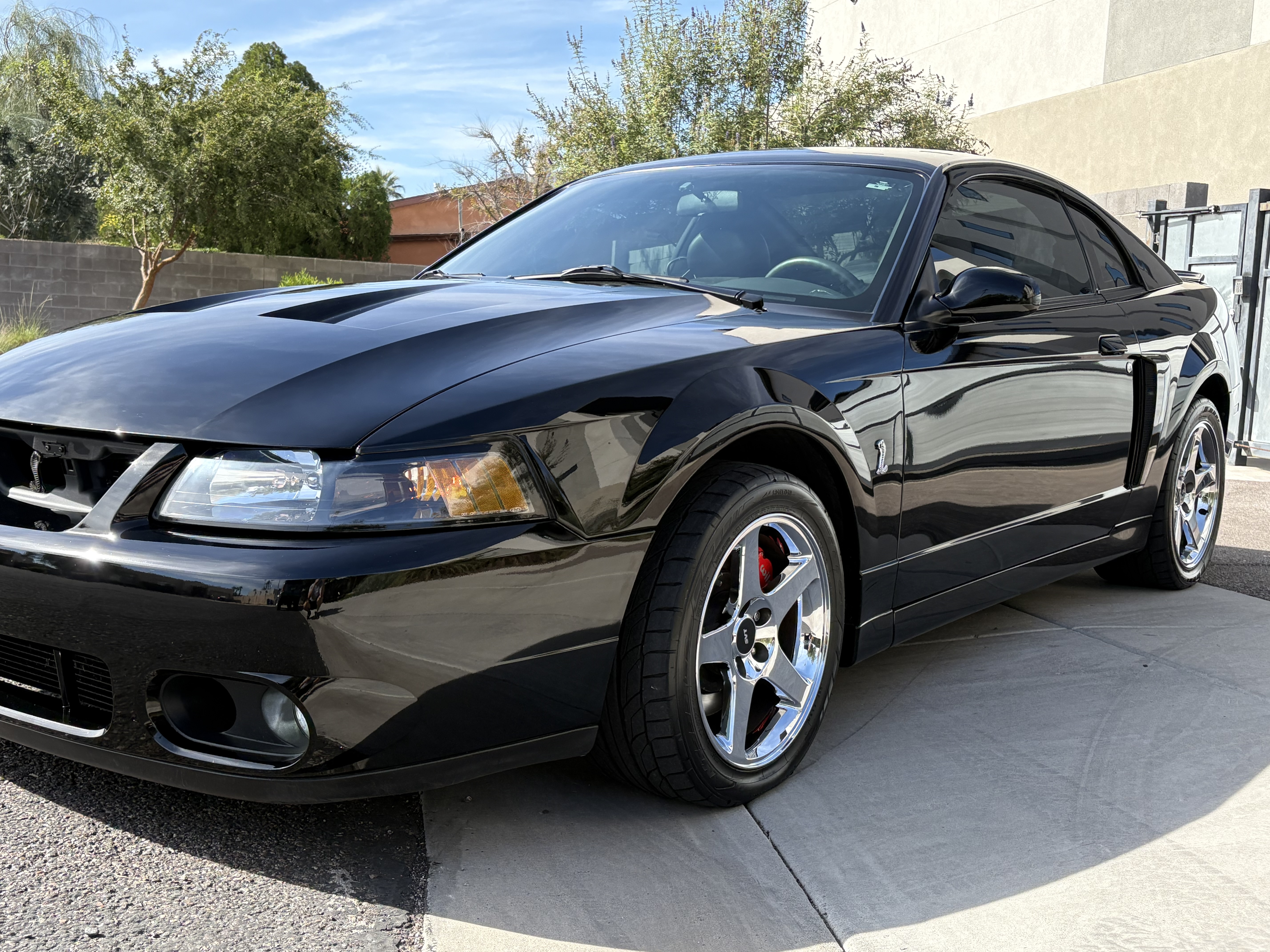 2004 Ford Mustang Cobra