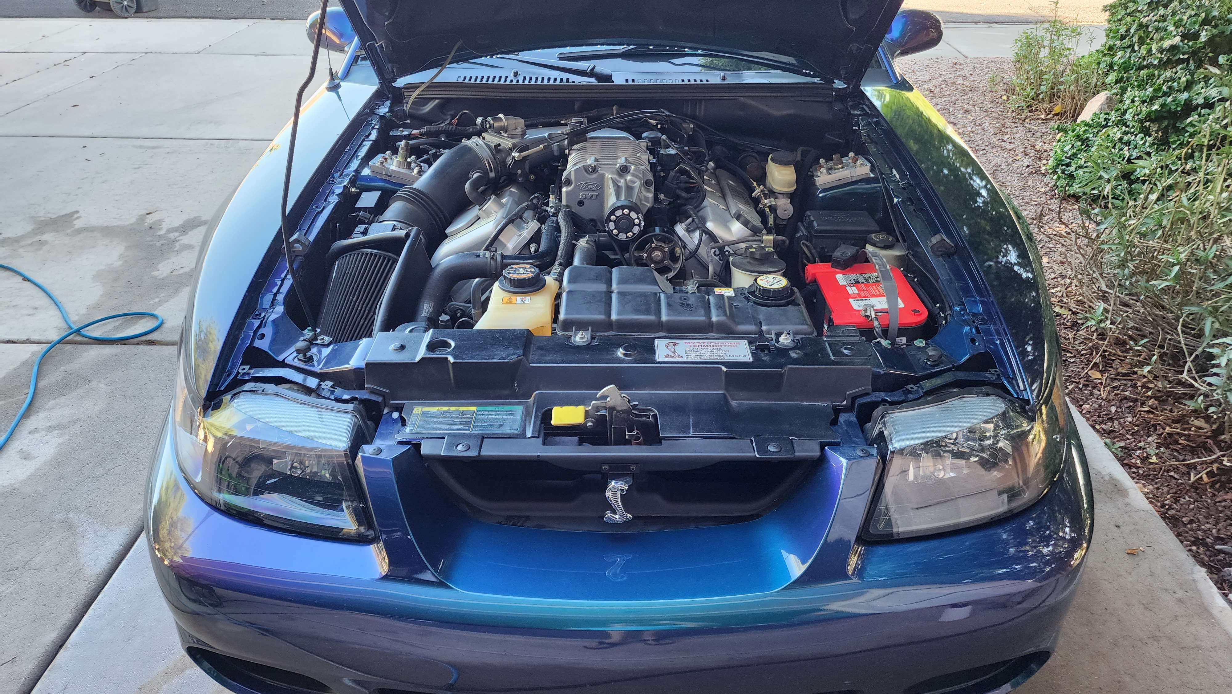 2004 Ford Mustang Cobra