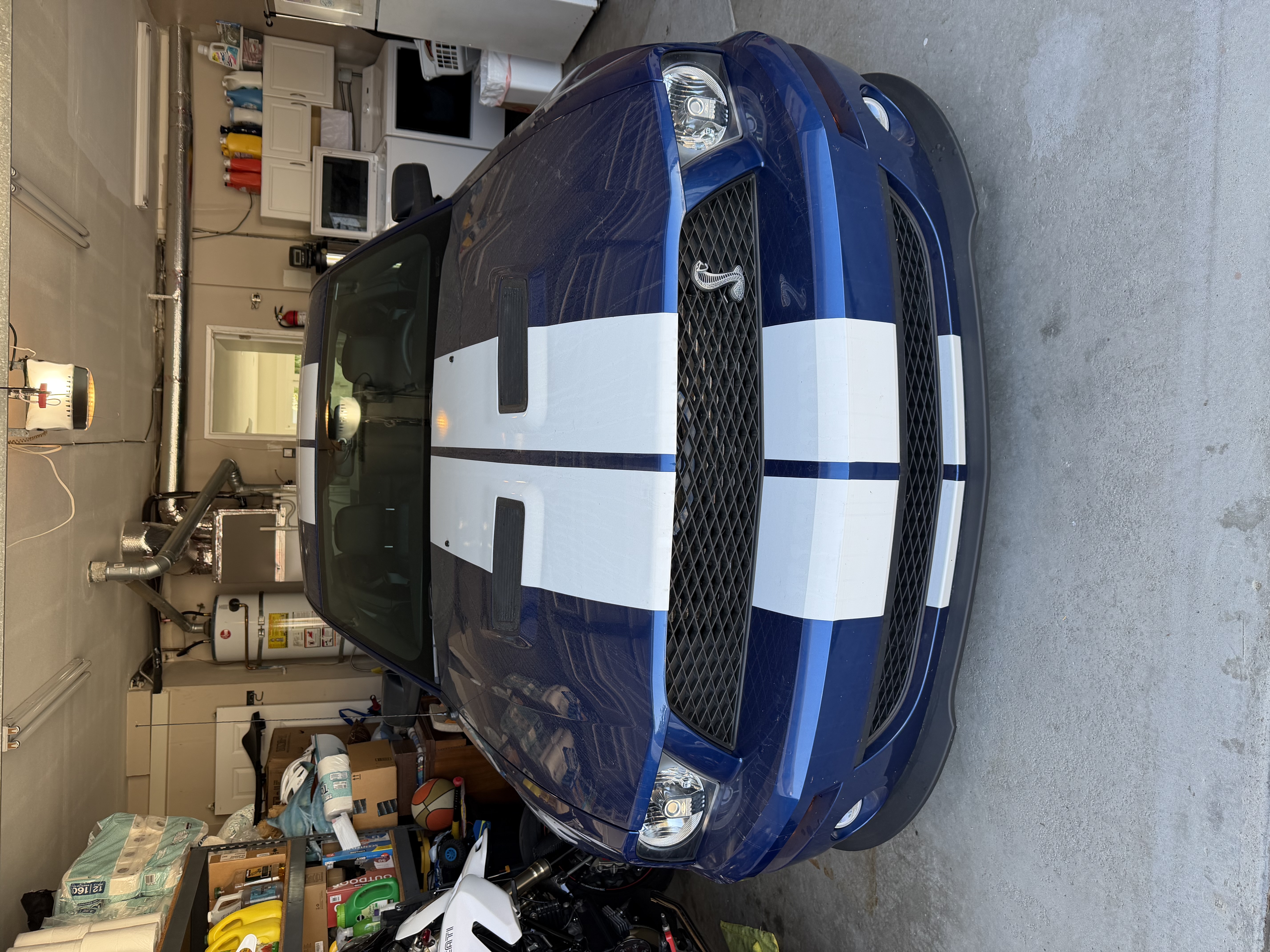 Used 2008 Ford Mustang Shelby GT500