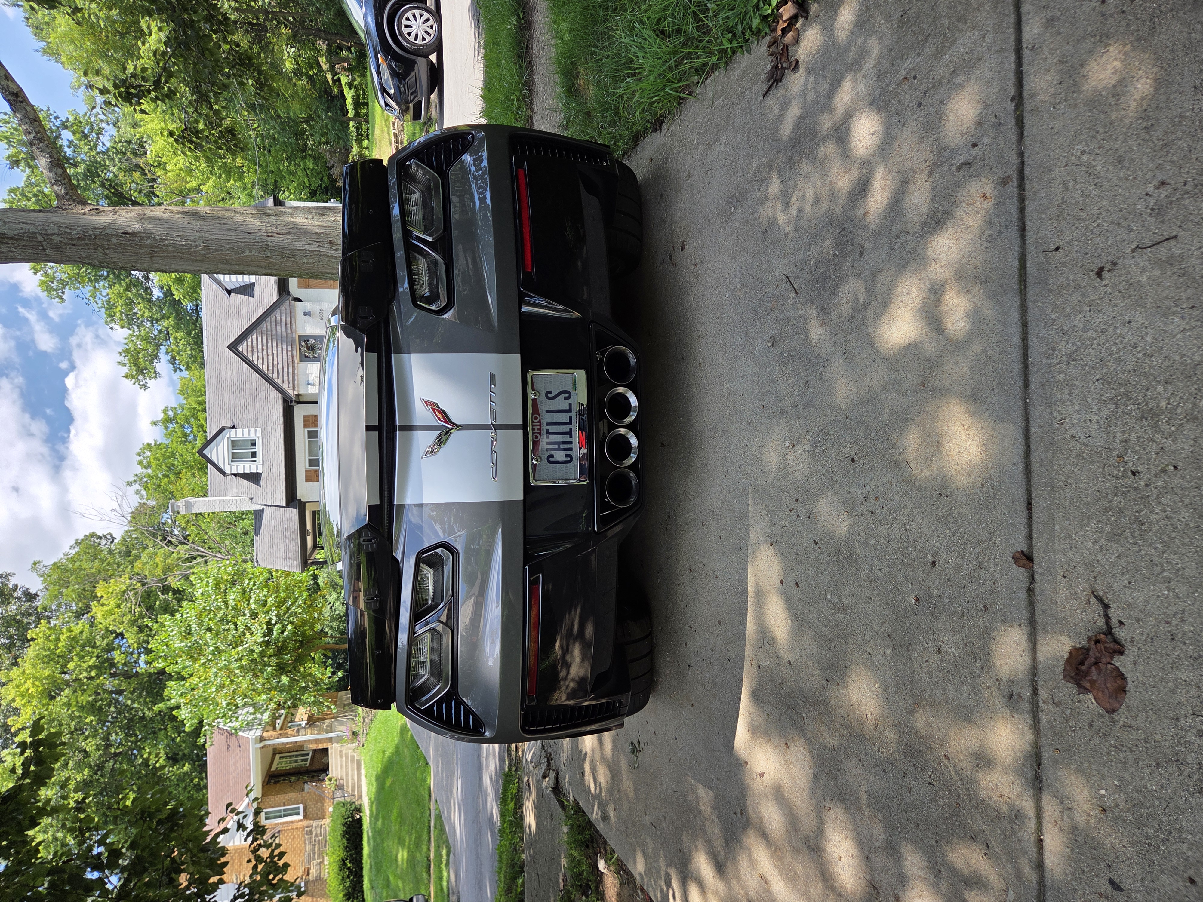 Photo 7