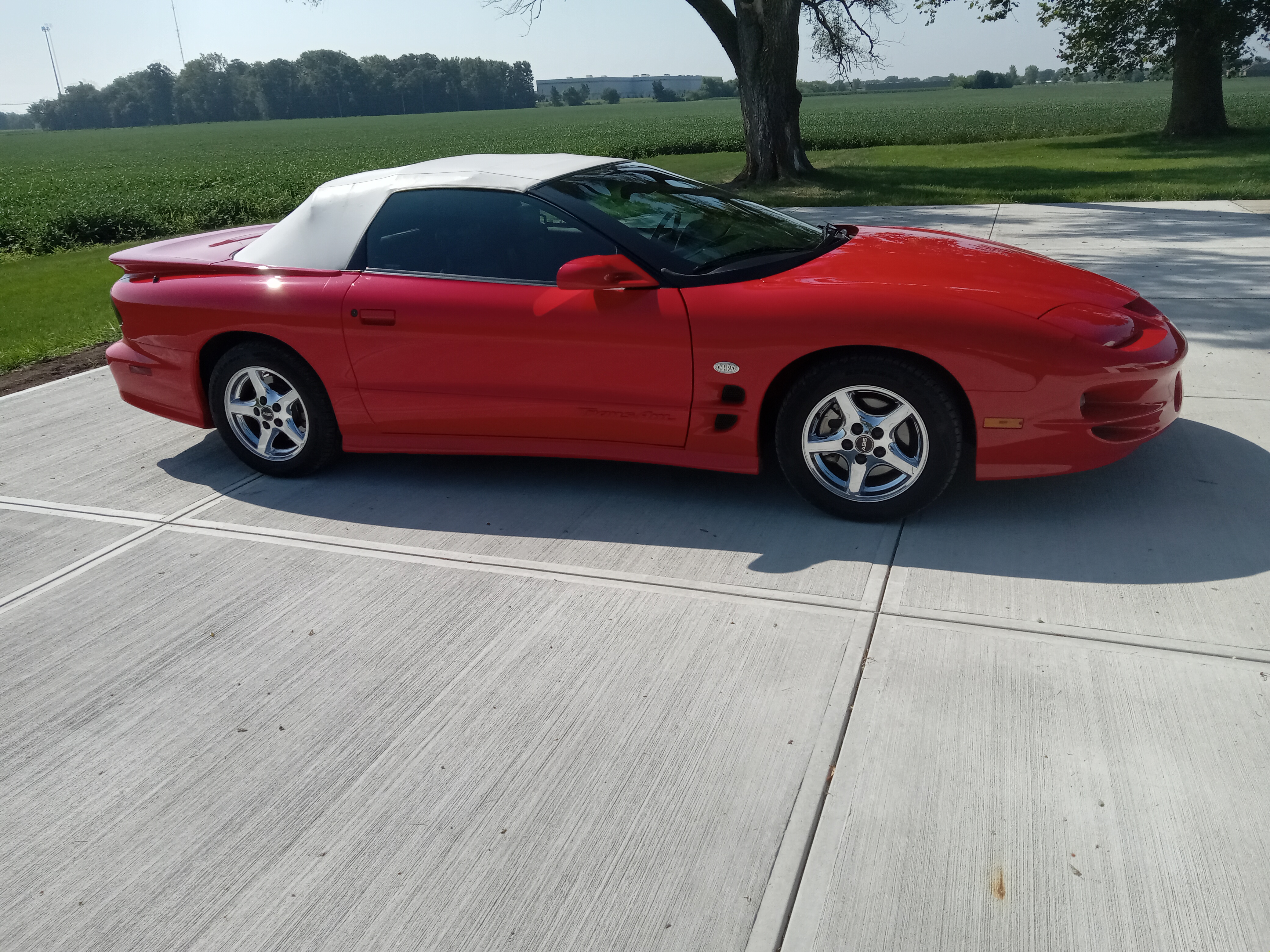 Used 2002 Pontiac Firebird Trans Am w/ NHRA Special Edition Pkg