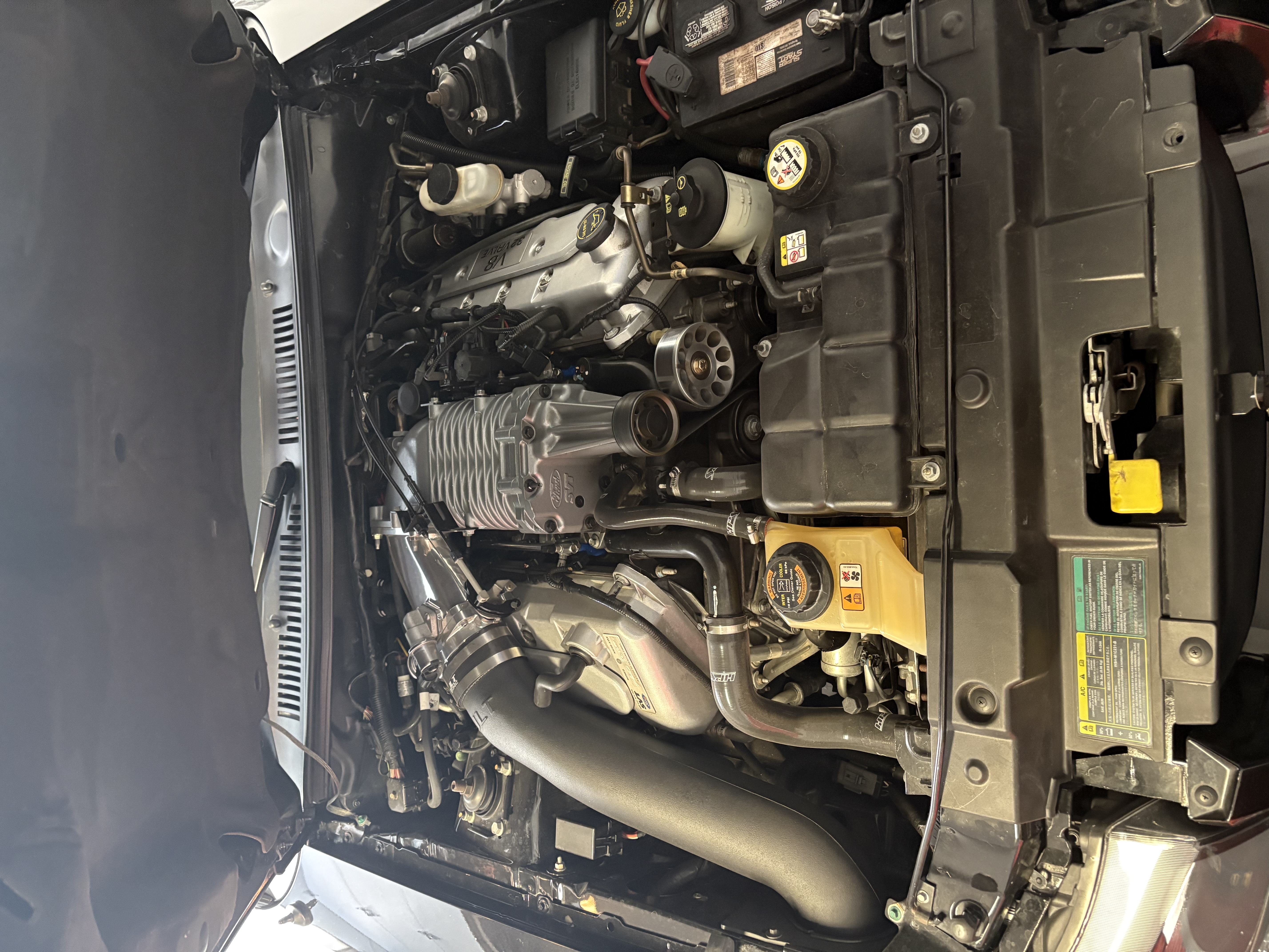 2004 Ford Mustang Cobra