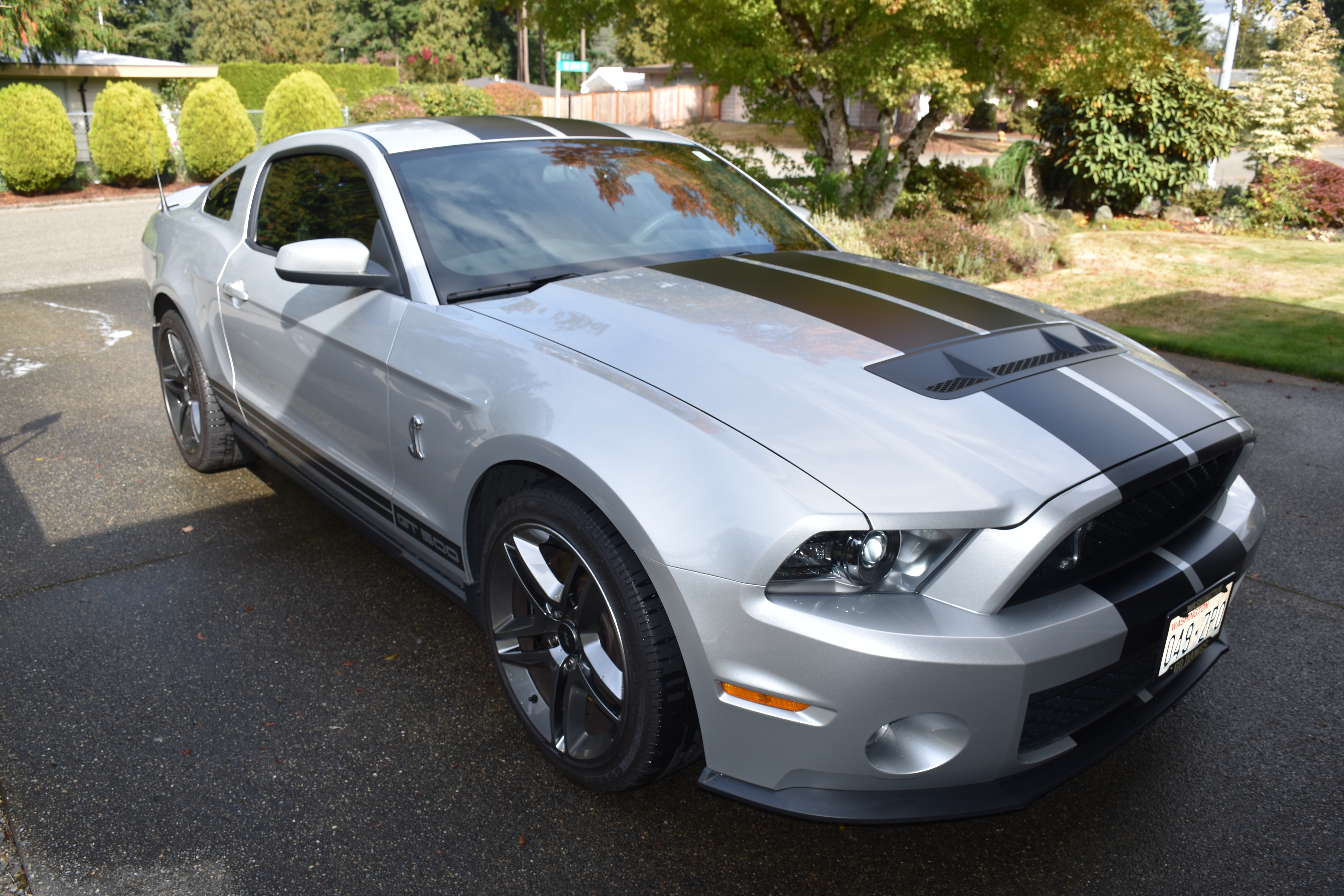 Used 2010 Ford Mustang Shelby GT500