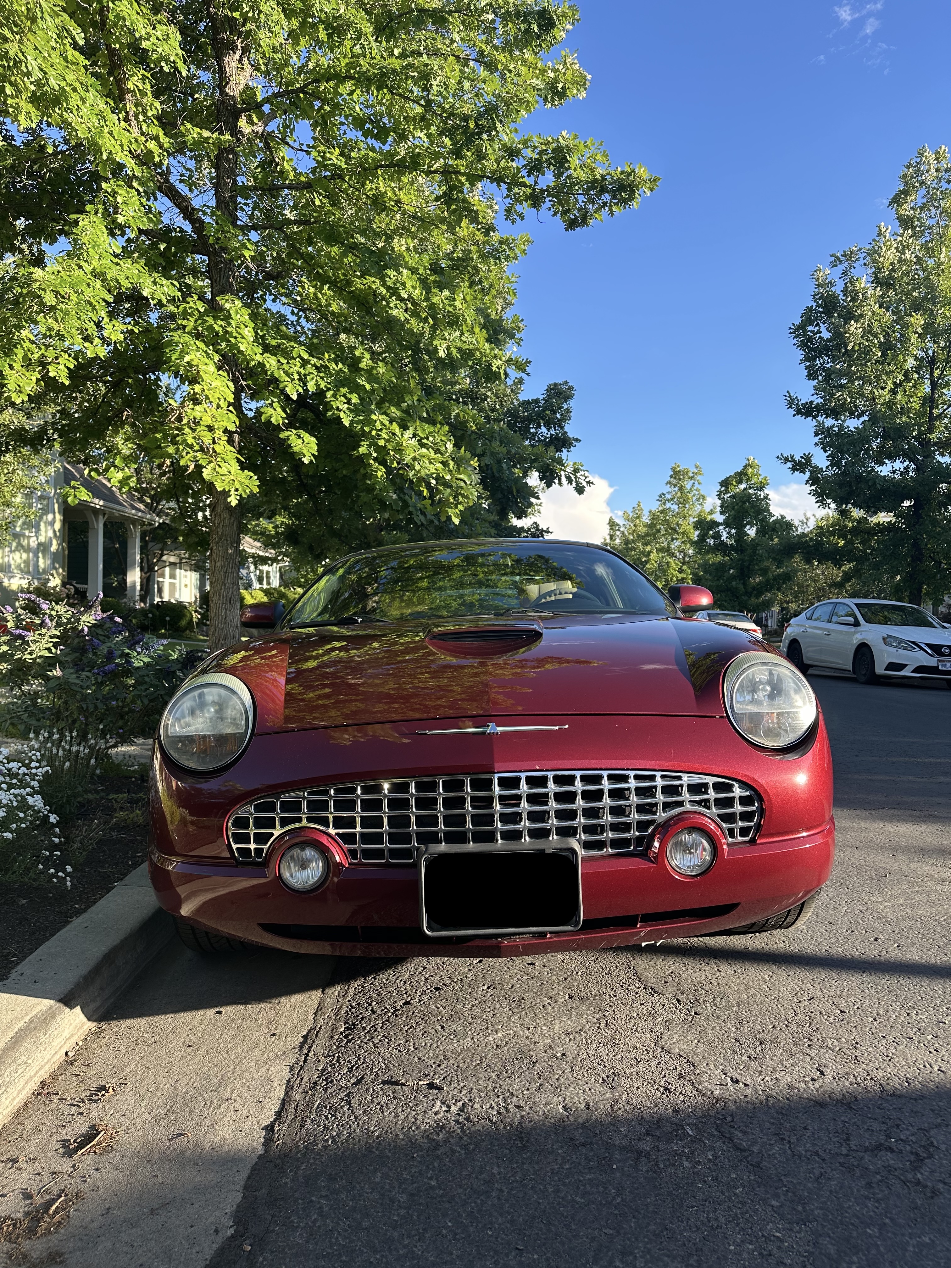 Ford Thunderbird 2004 photo 2