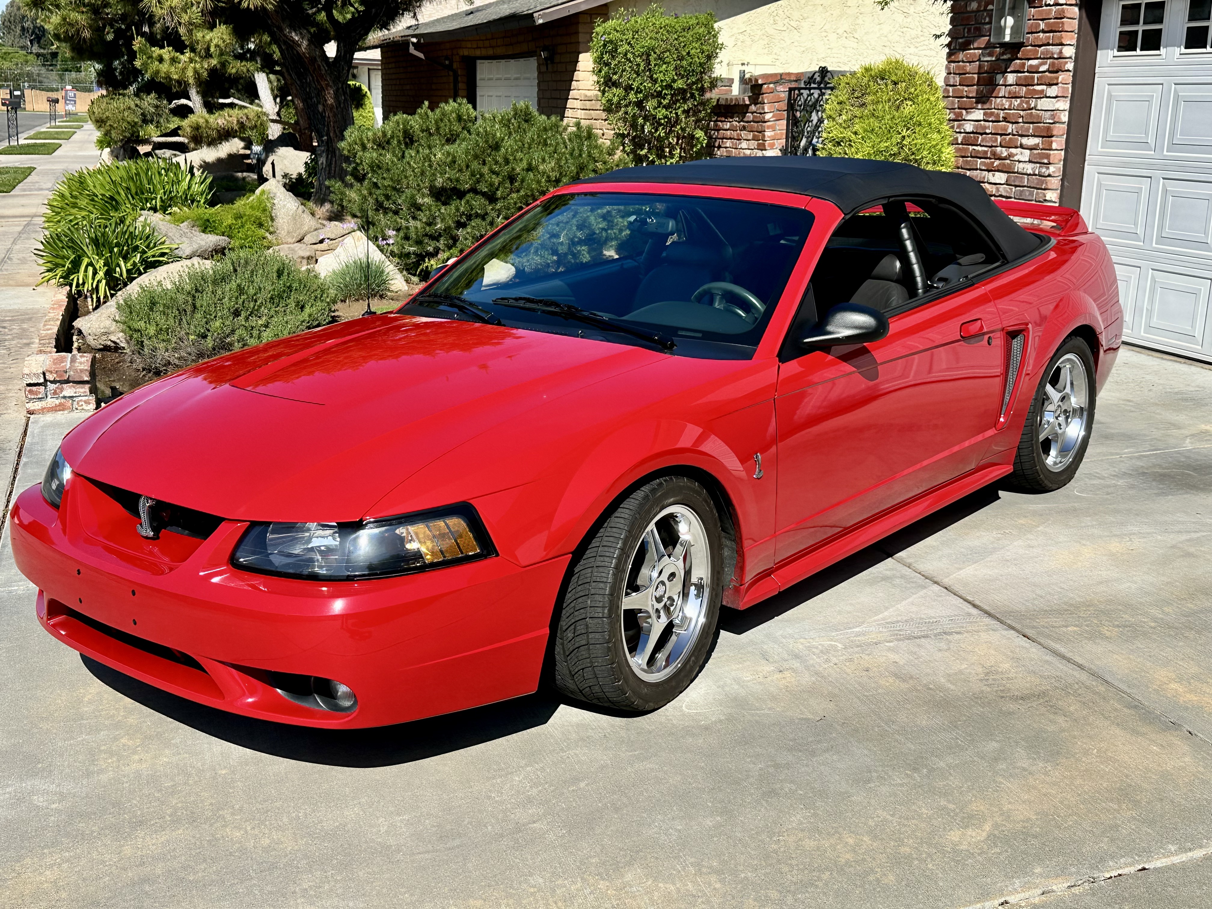 Used 1999 Ford Mustang Cobra