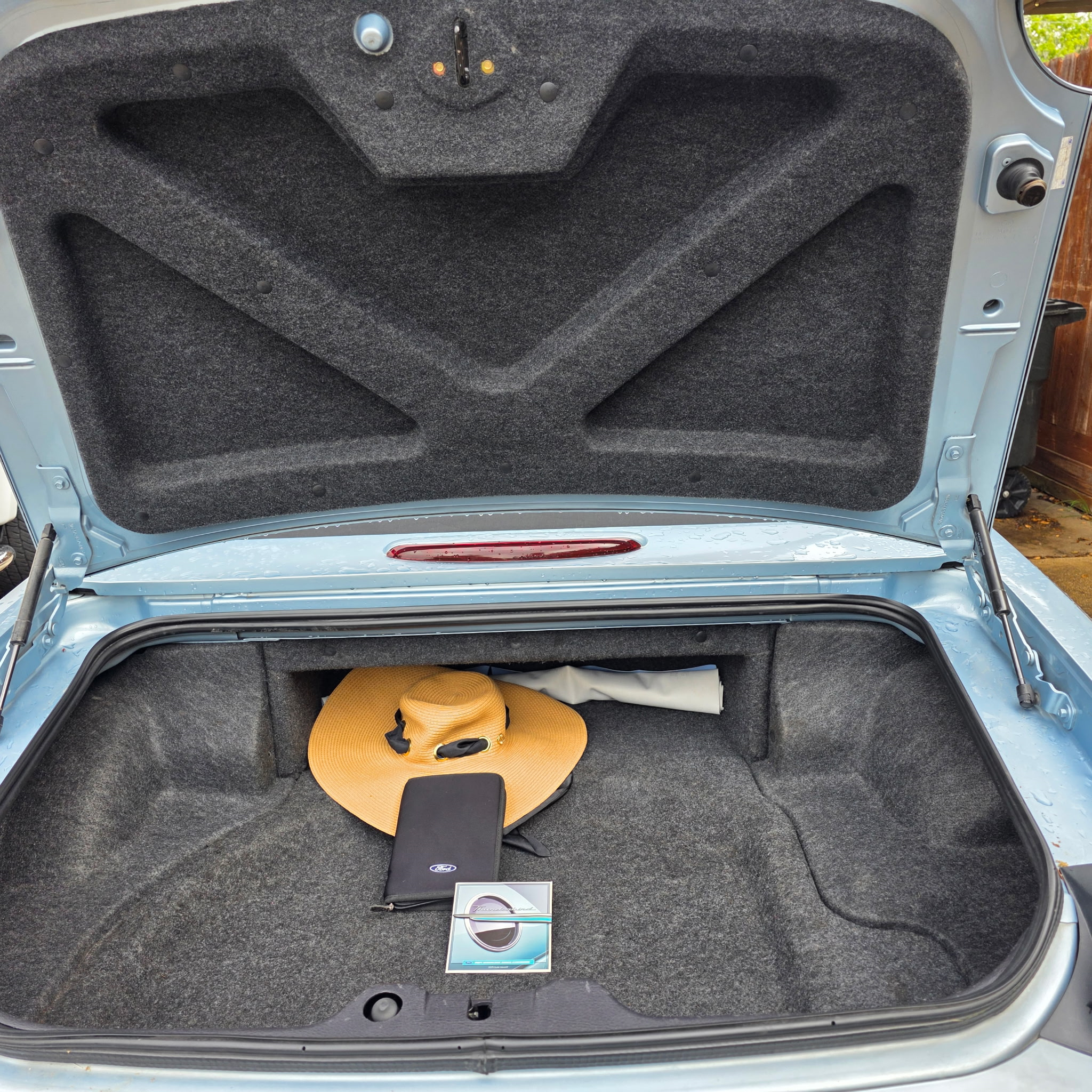 2004 Ford Thunderbird