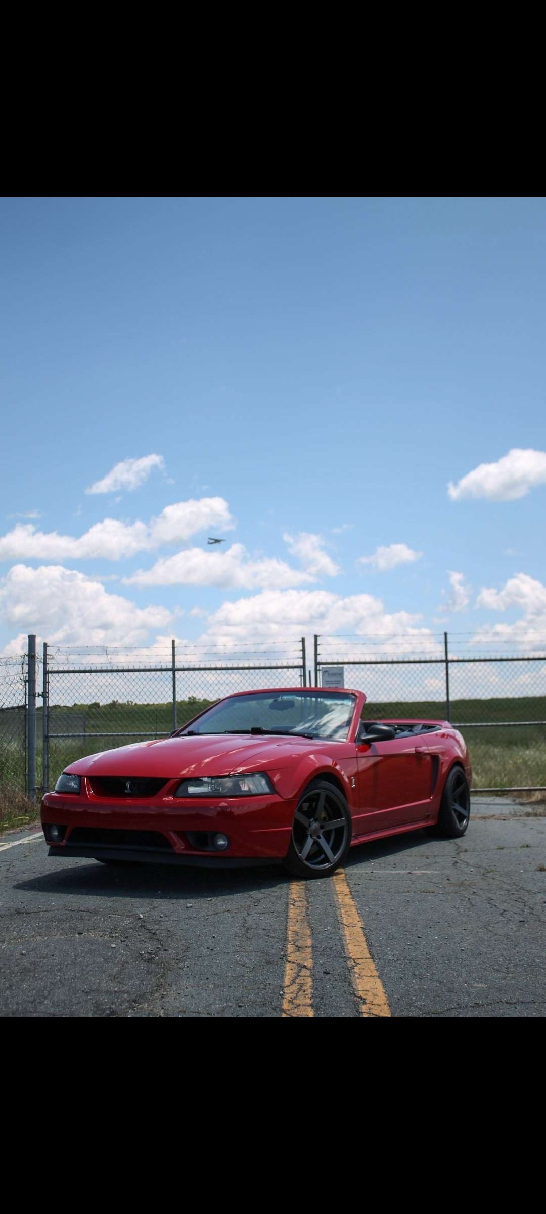 Used 1999 Ford Mustang Cobra