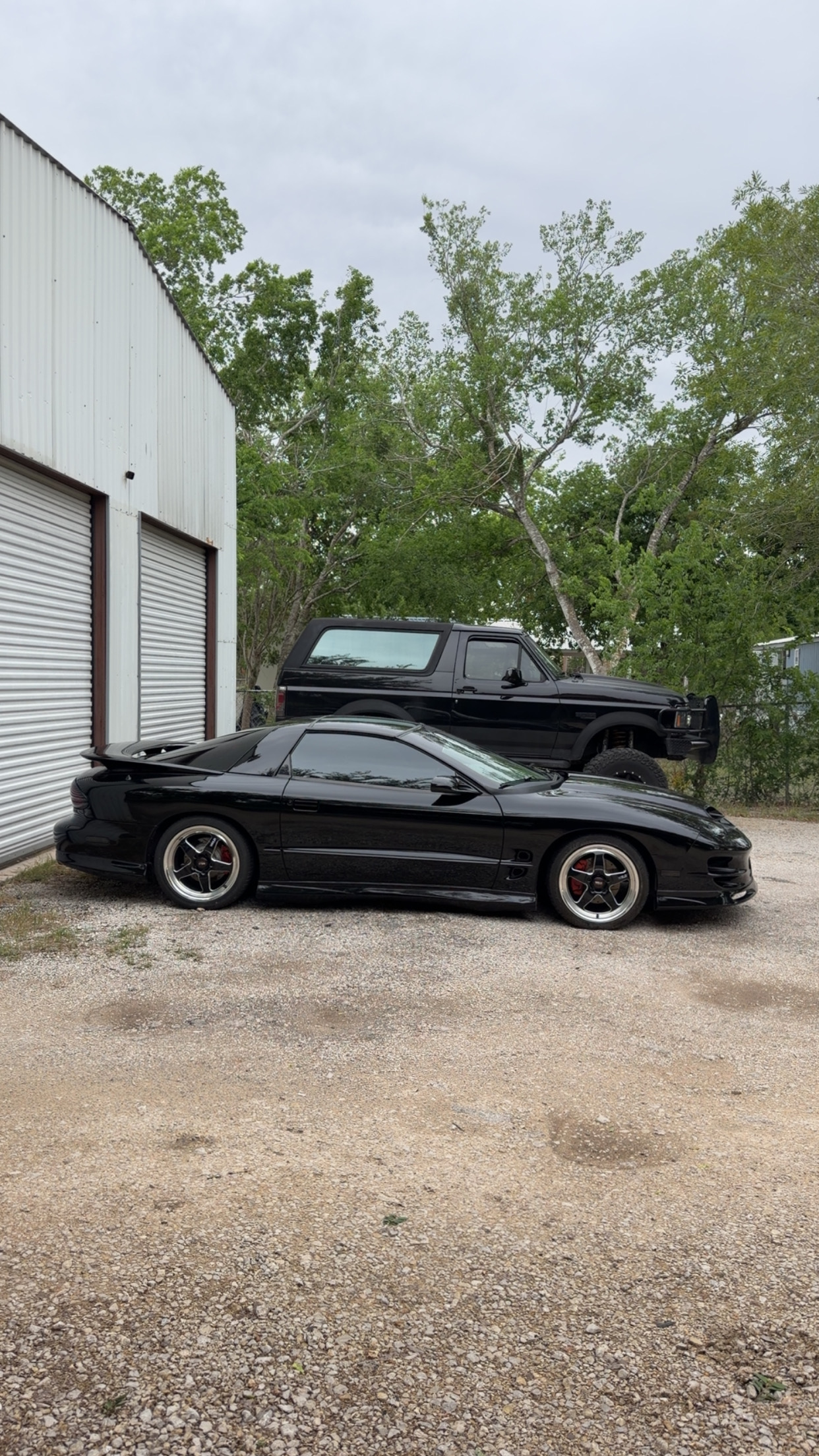 Used 2000 Pontiac Firebird Formula
