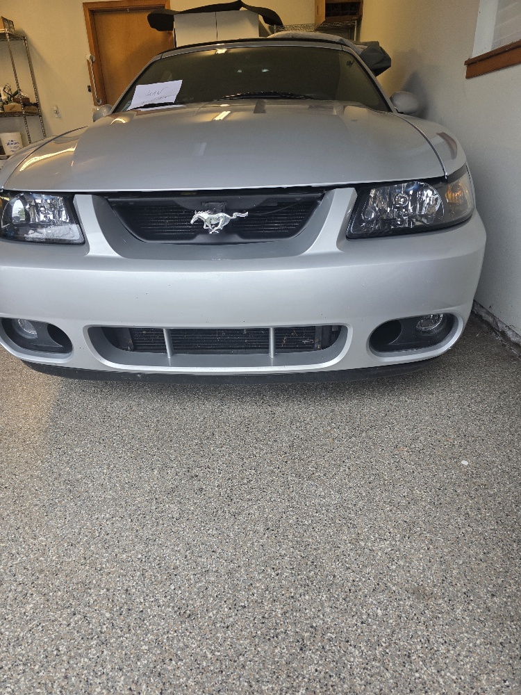 Used 2003 Ford Mustang Cobra