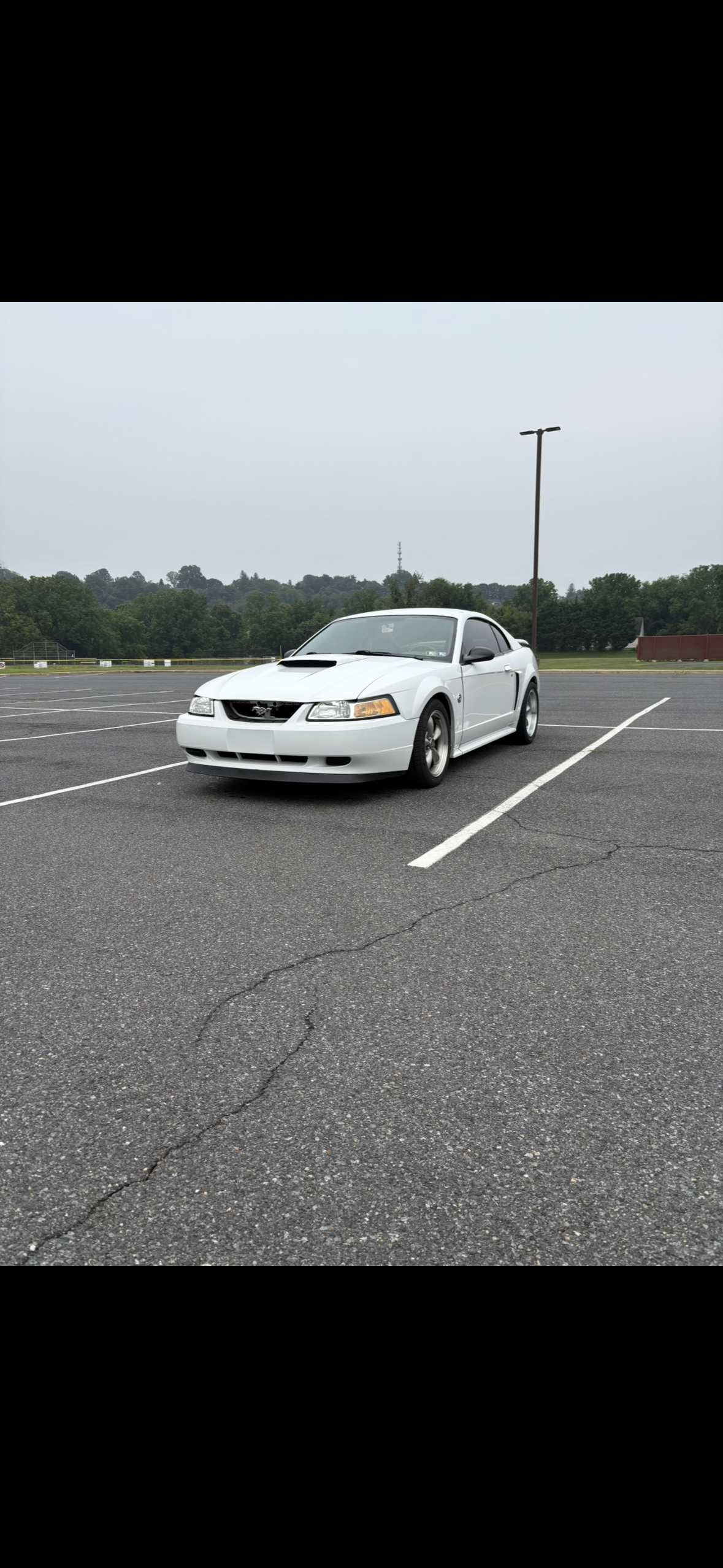 Used 2004 Ford Mustang GT Premium