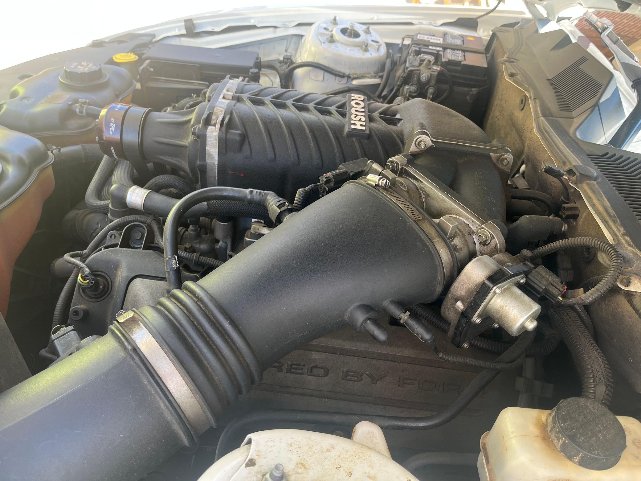 2011 Ford Mustang GT Premium