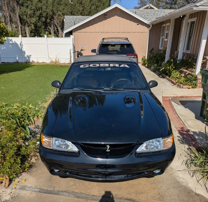 Used 1997 Ford Mustang Cobra