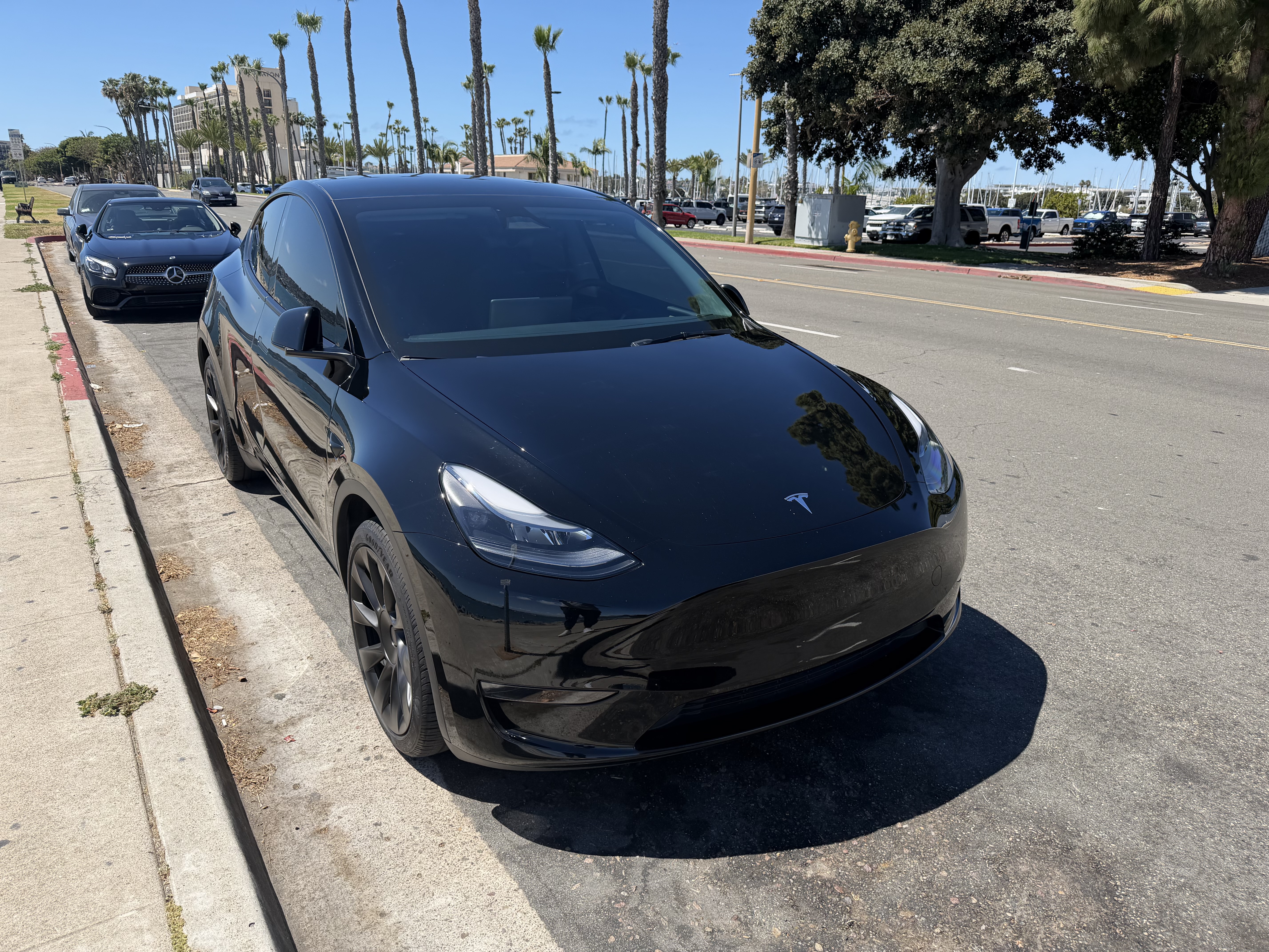 2025 Tesla Model Y Long Range