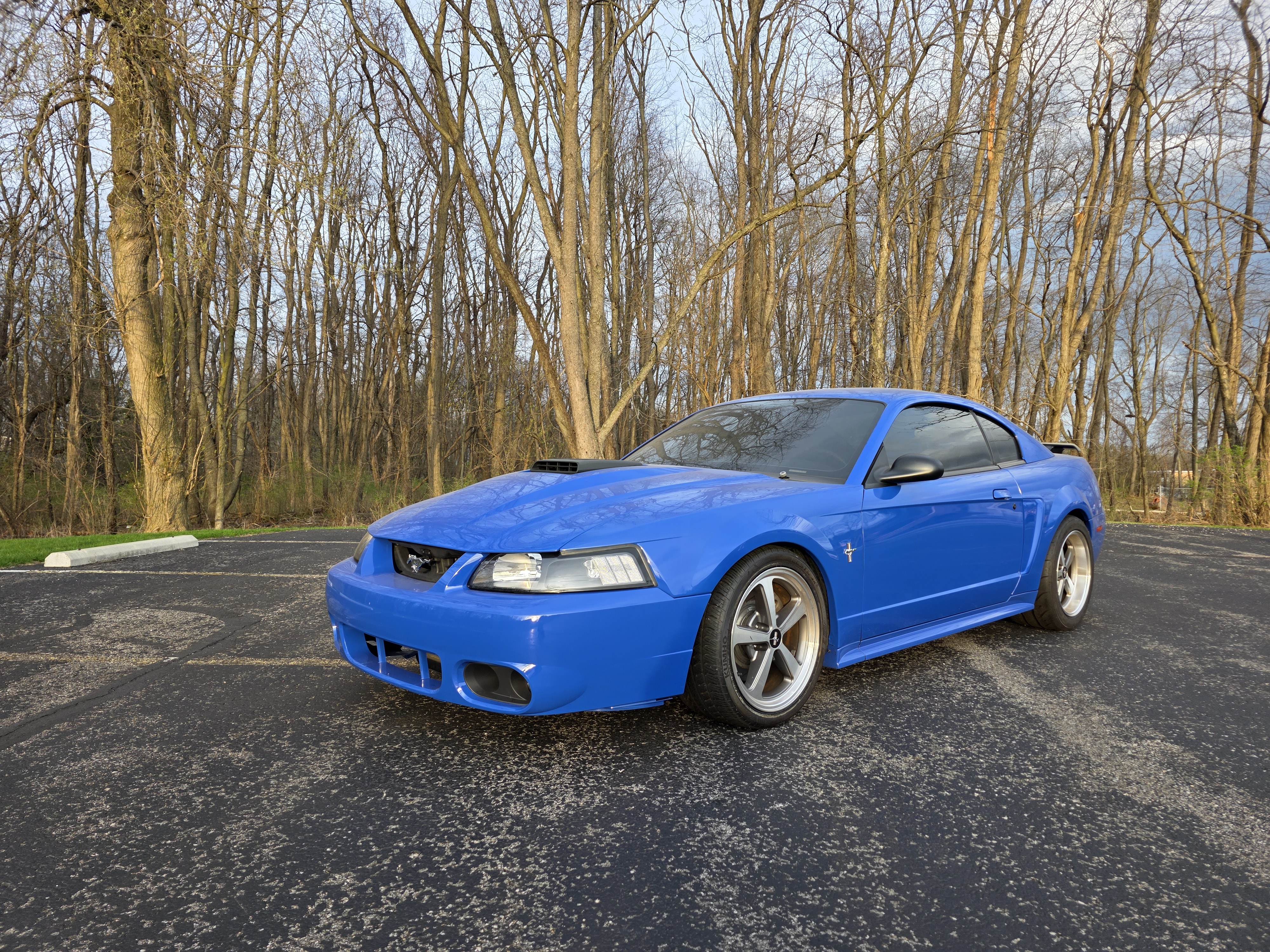Used 2003 Ford Mustang Mach 1