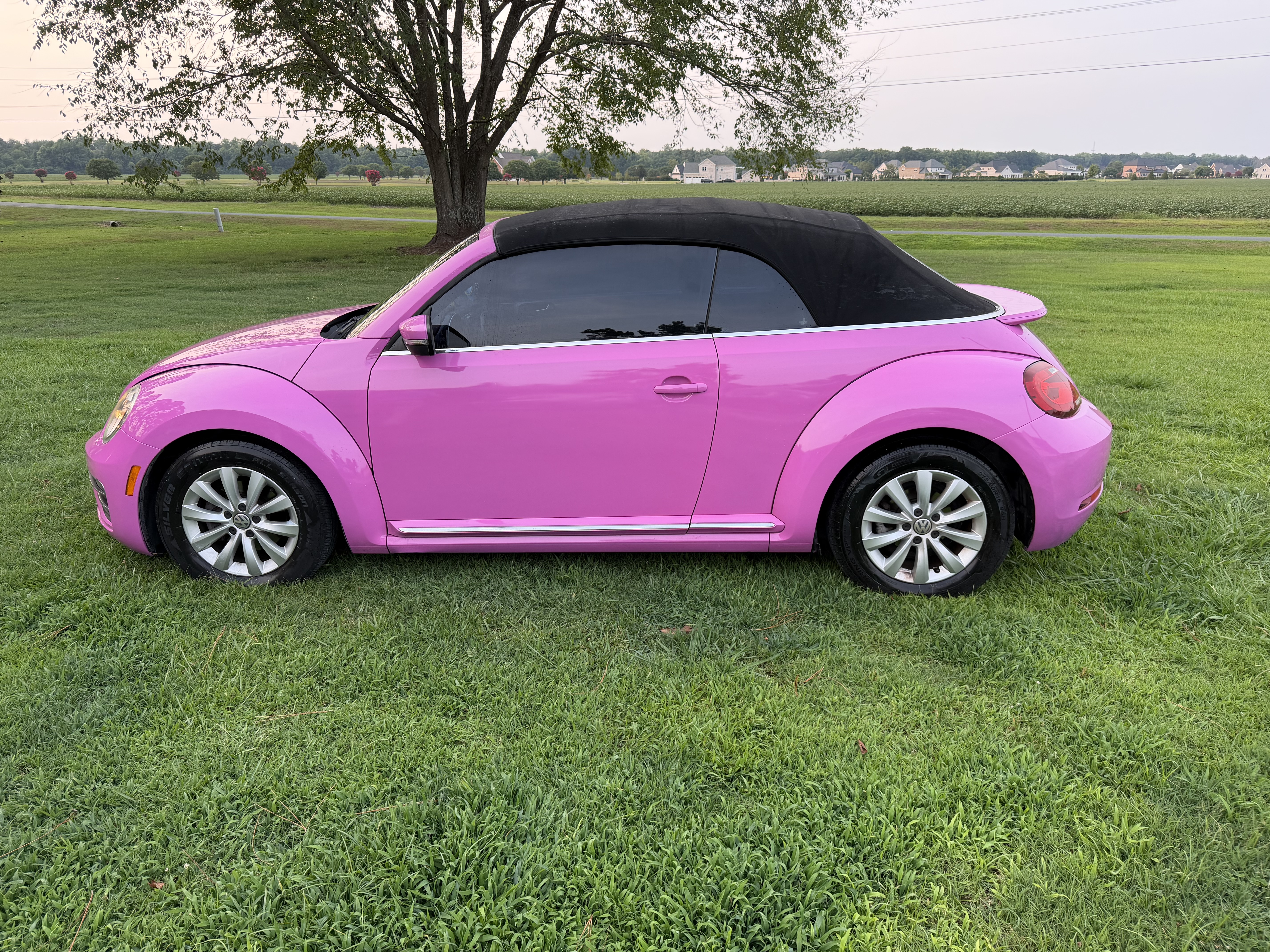 Used Pink Volkswagen Beetle Convertibles for Sale Near Me - Autotrader