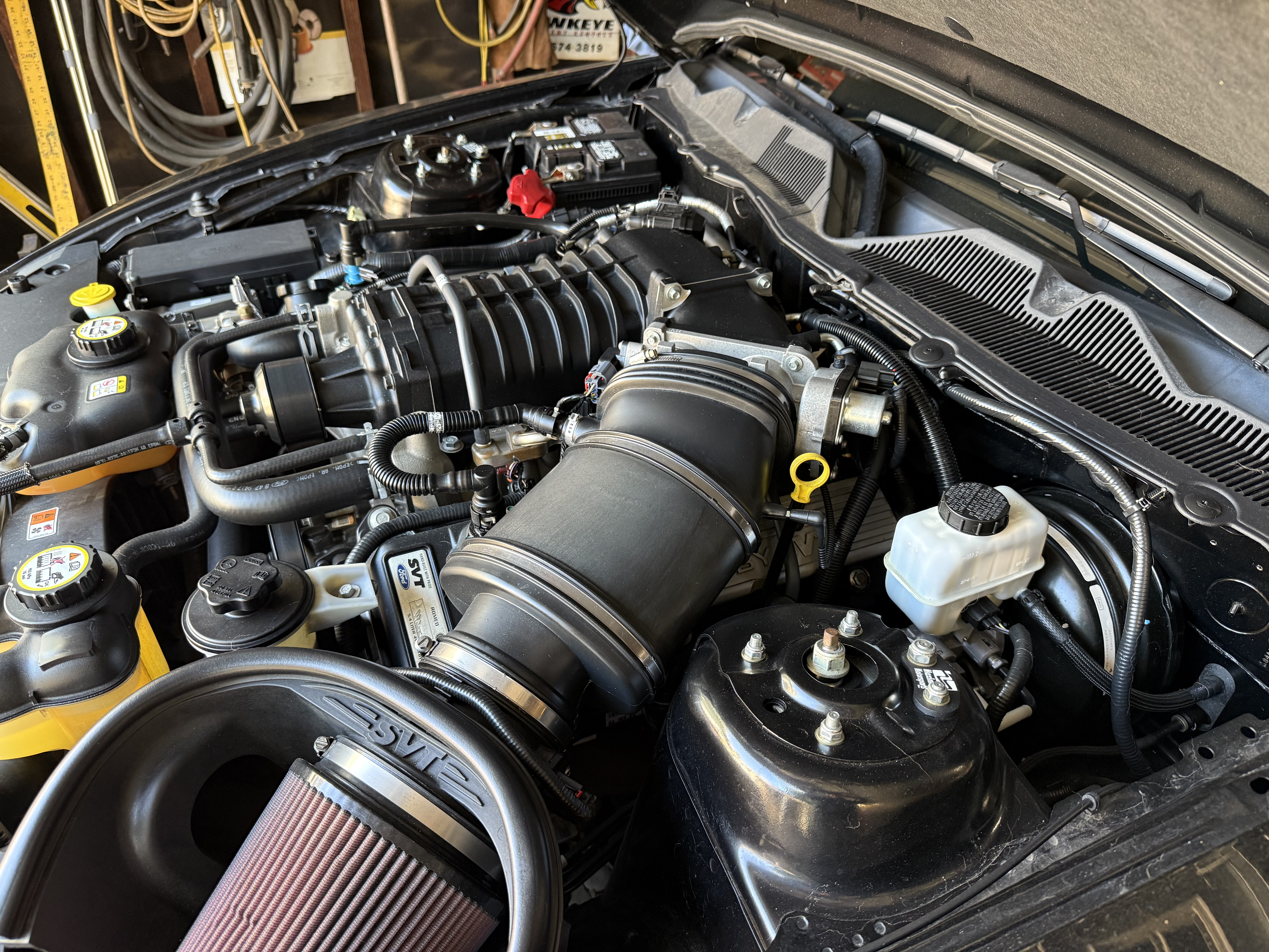 2010 Ford Mustang Shelby GT500