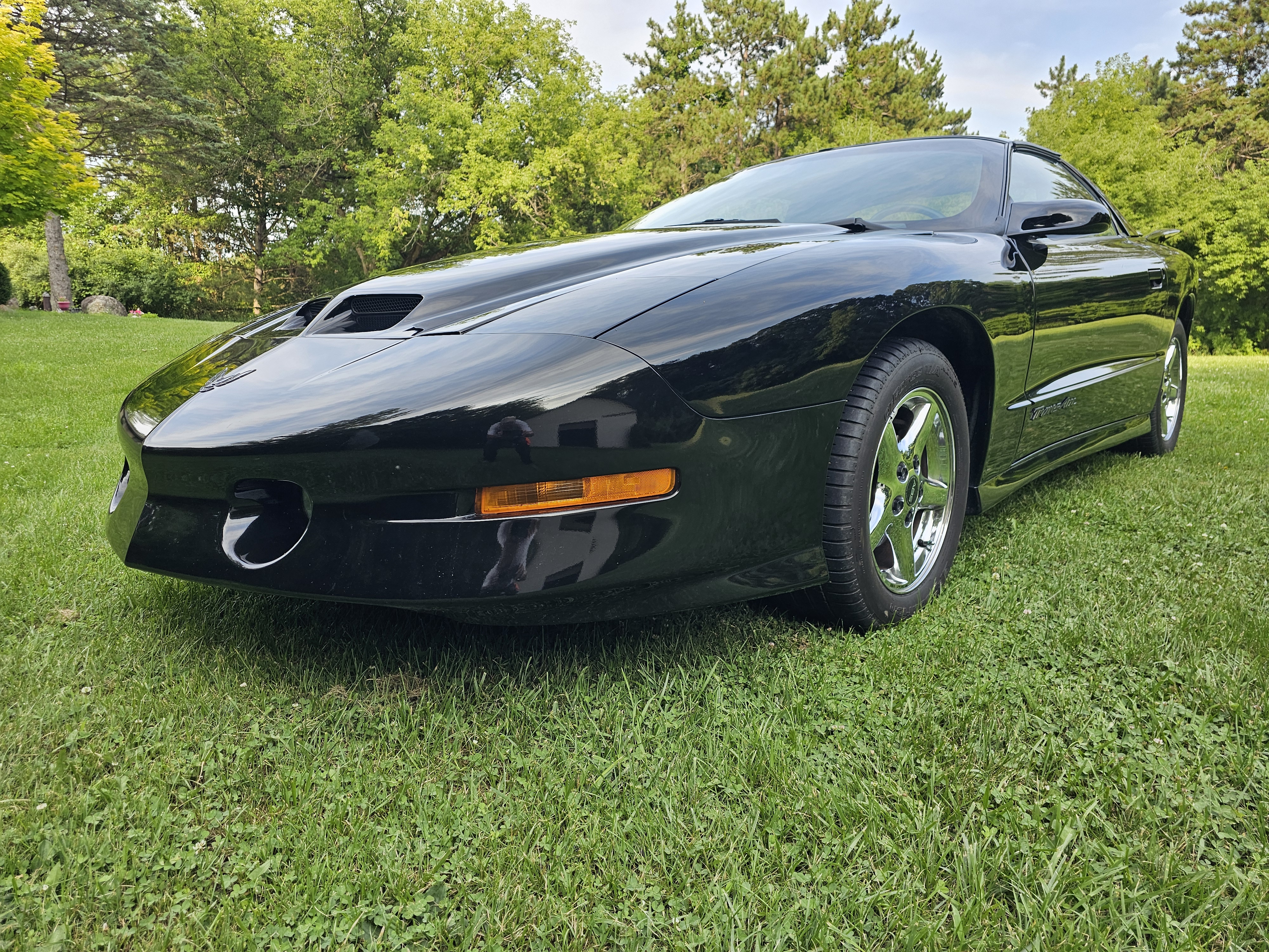 Used 1997 Pontiac Firebird Trans Am
