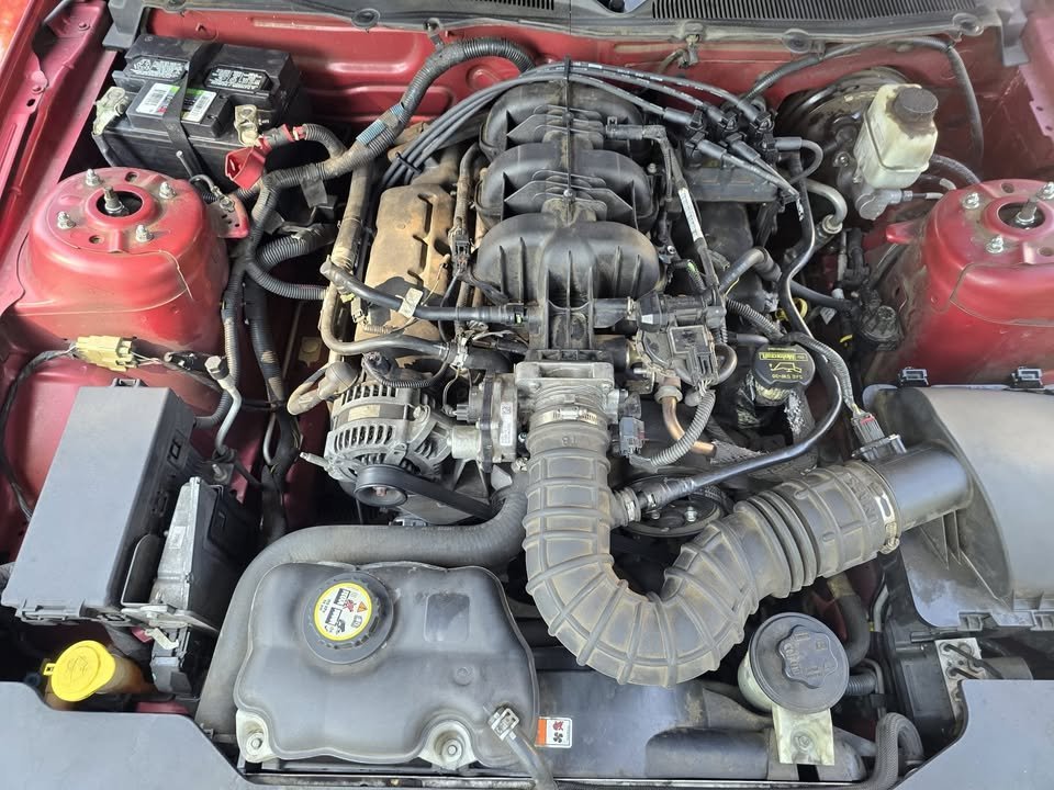 2010 Ford Mustang Convertible