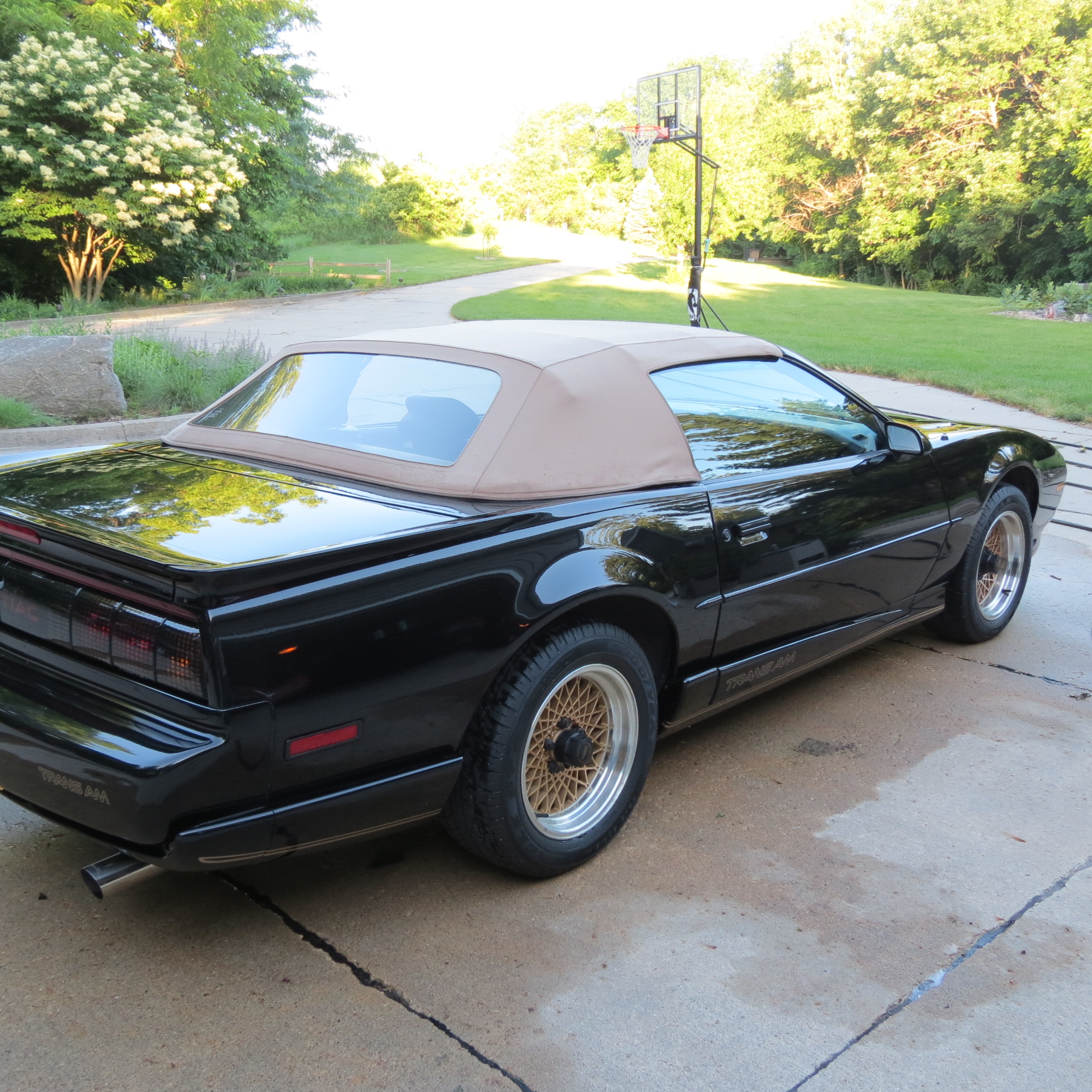 Used 1992 Pontiac Firebird Trans Am