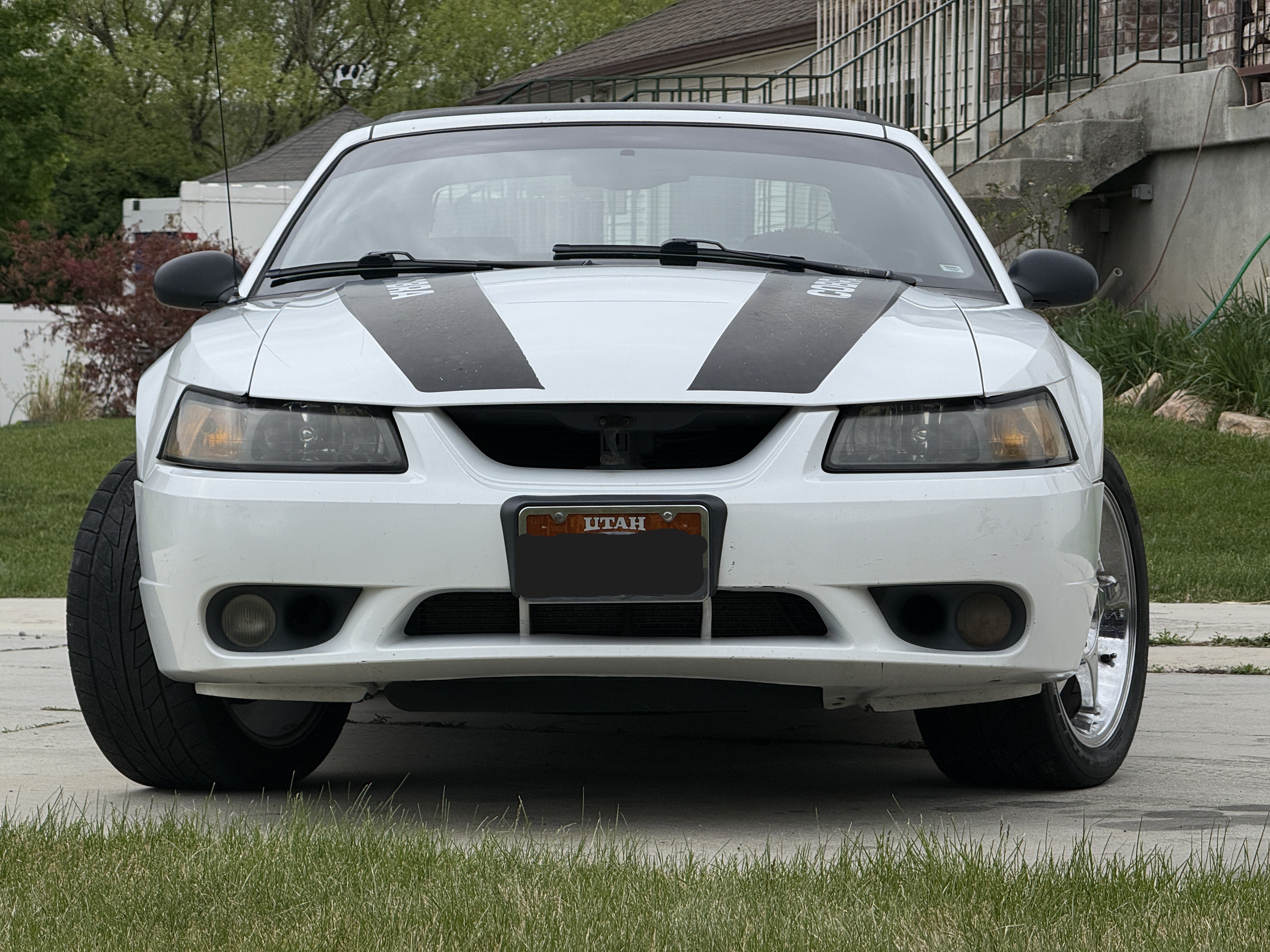 Used 1999 Ford Mustang Cobra