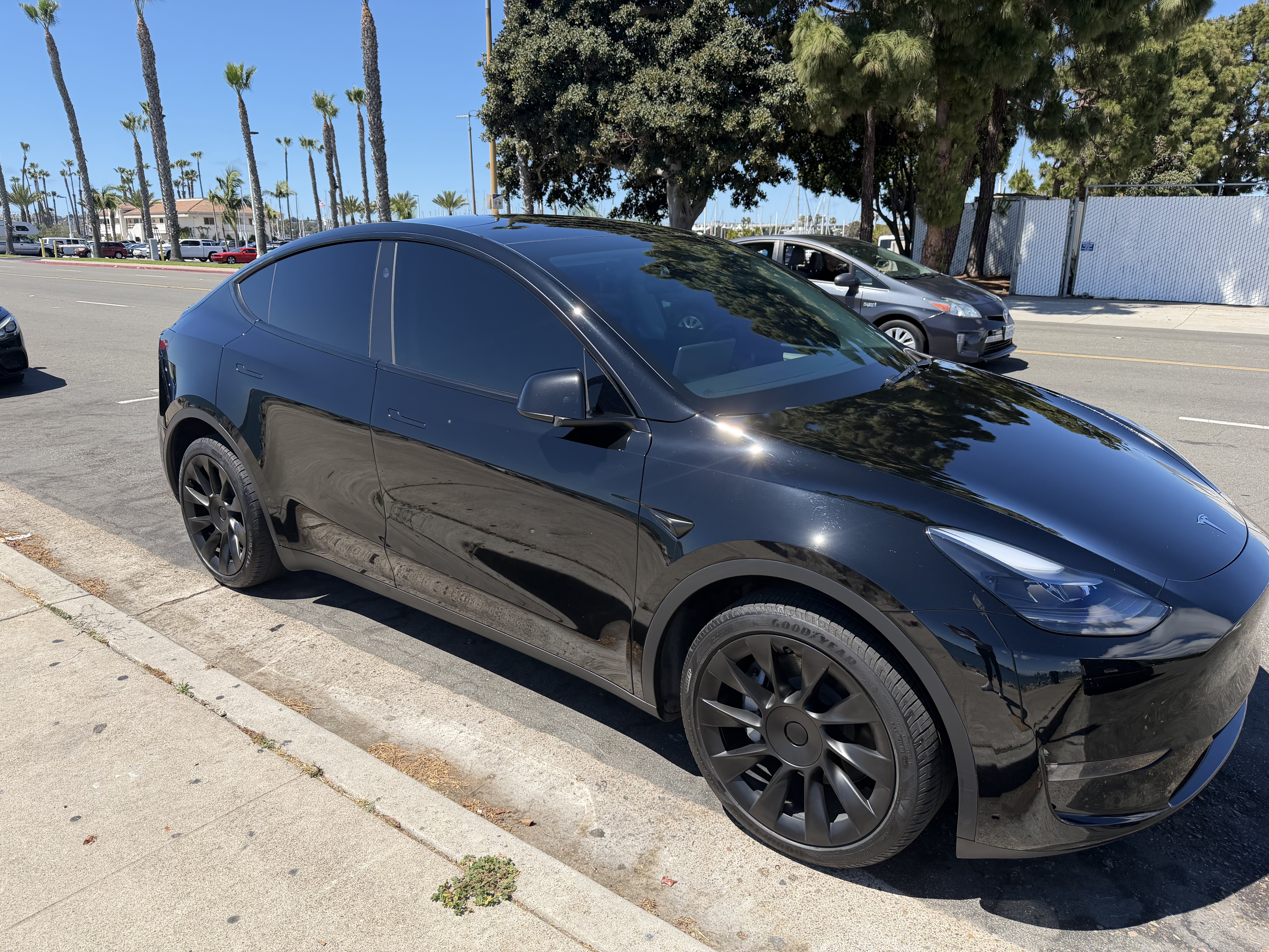 2025 Tesla Model Y Long Range