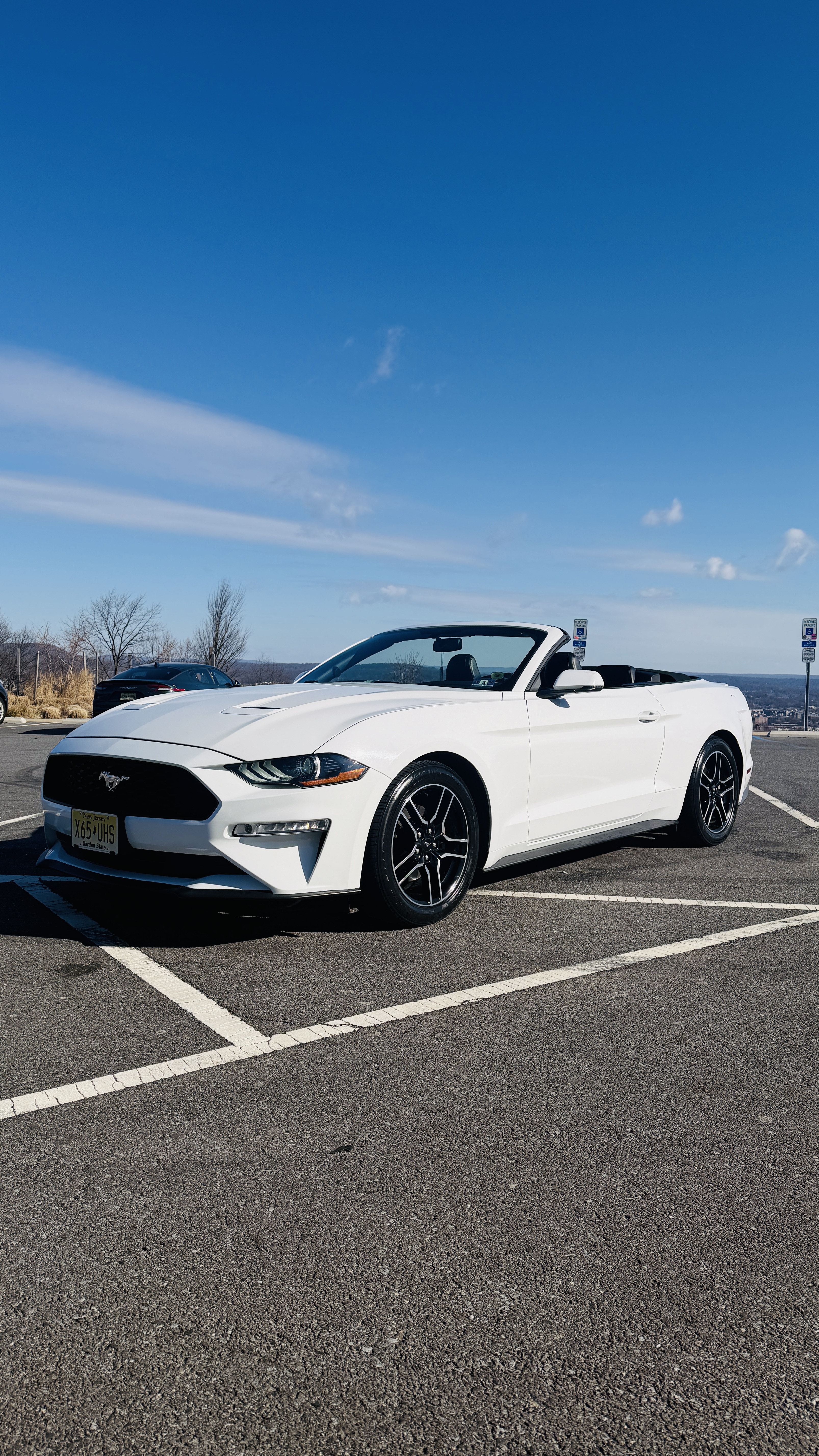 Used Ford Mustang Premium for Sale in Paramus, NJ - Autotrader