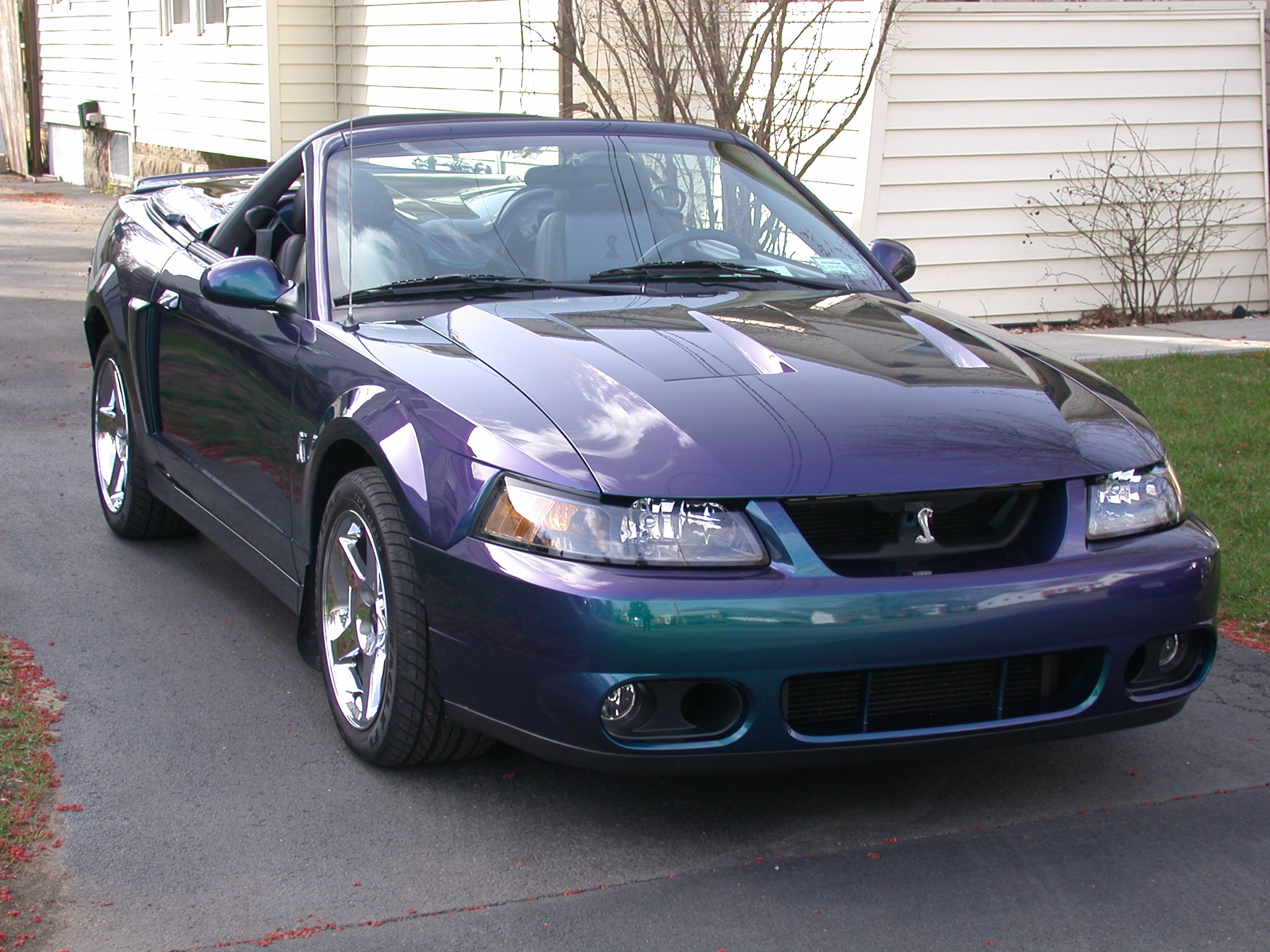 Used 2004 Ford Mustang Cobra