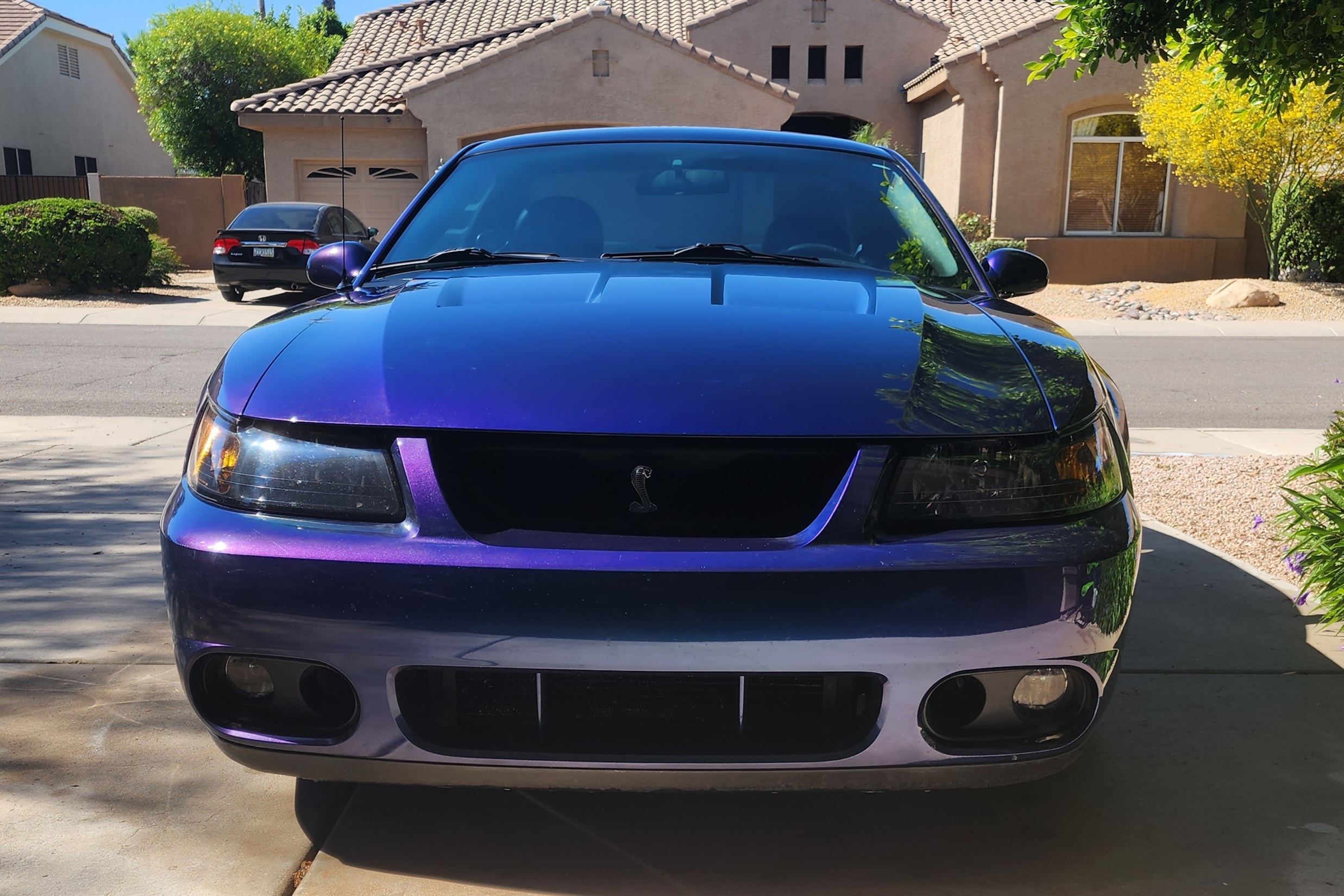 2004 Ford Mustang Cobra